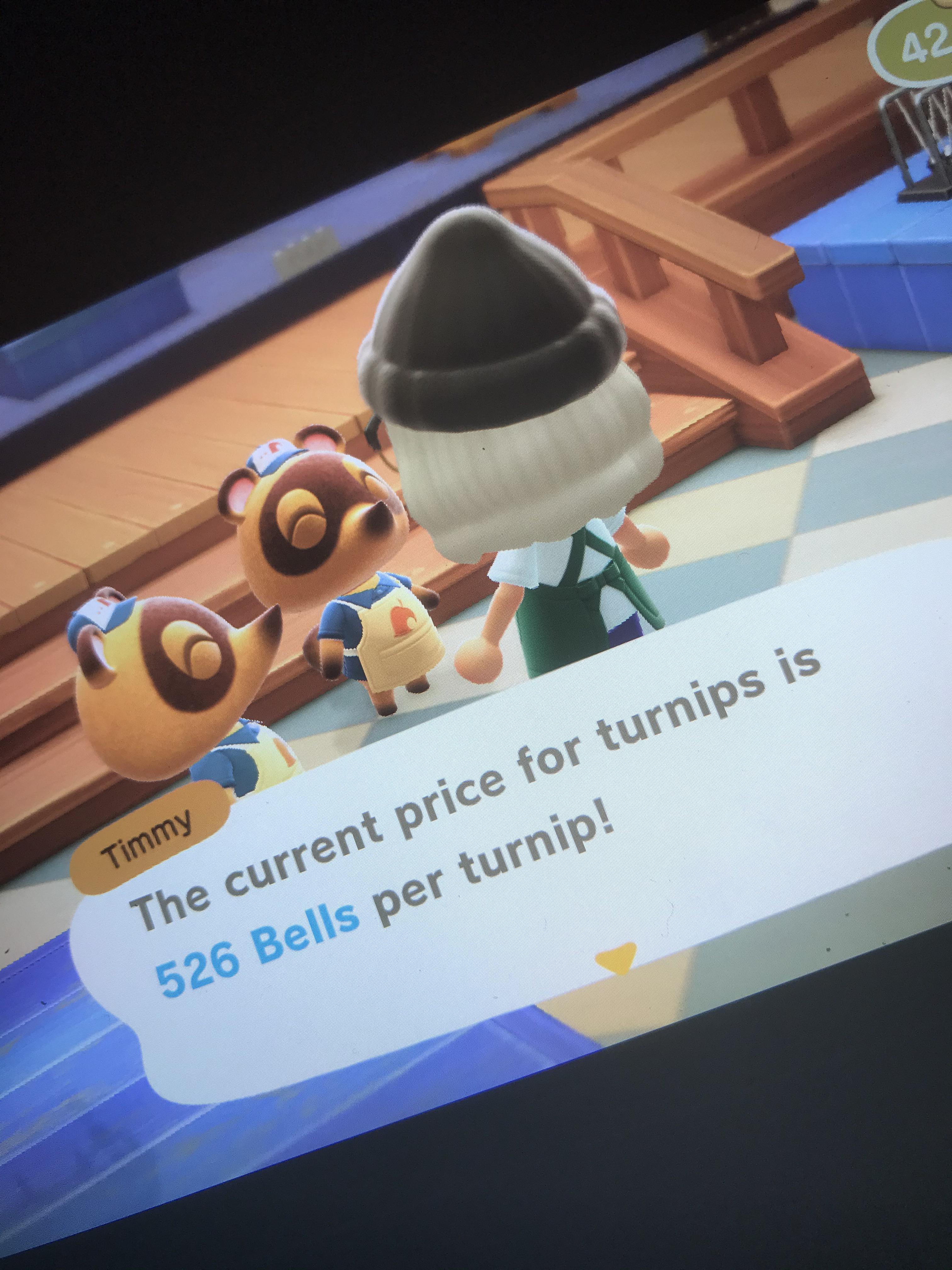 526 today https//turnip.exchange/island/b77a4242 r/TurnipExchange