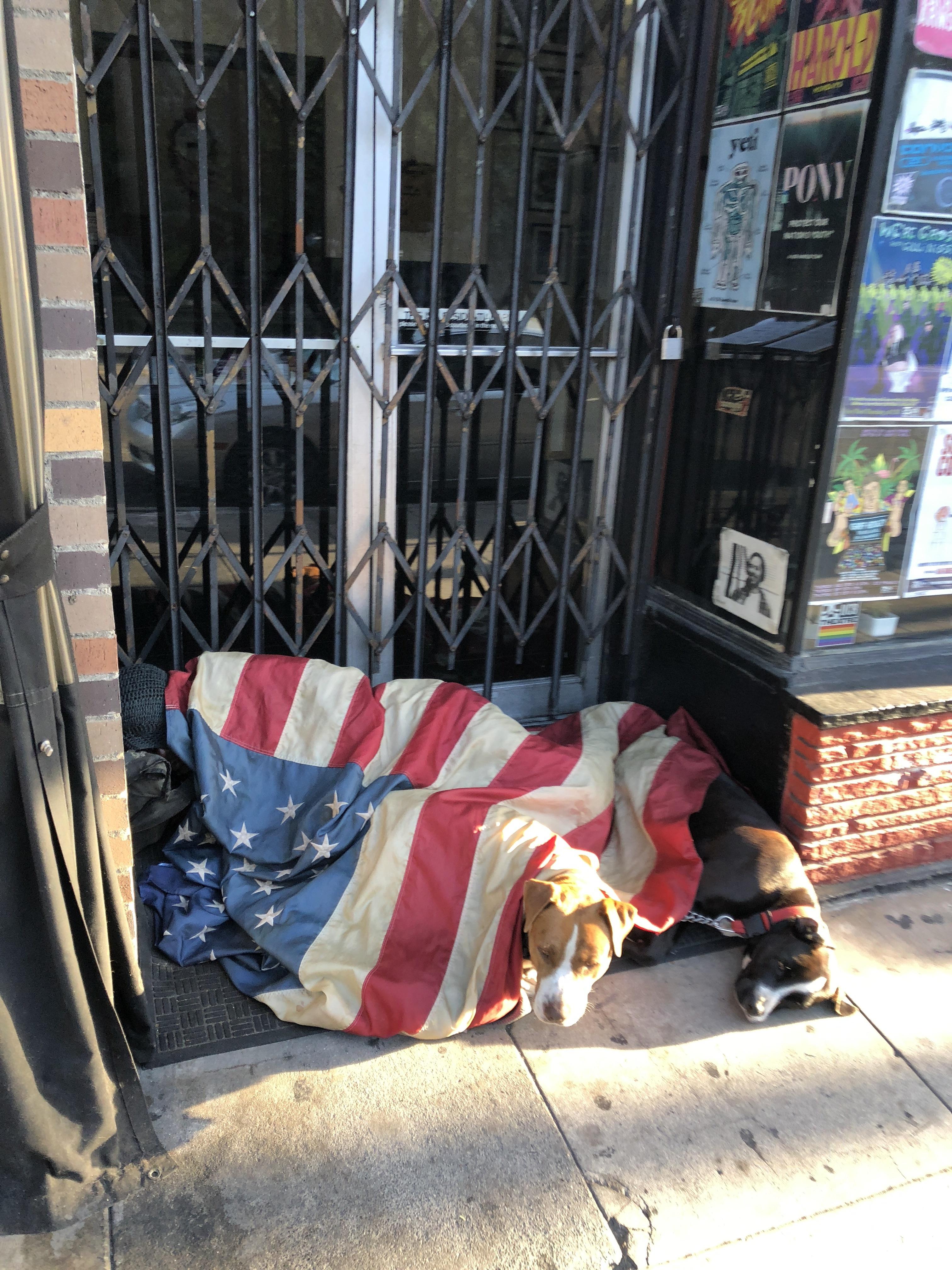 This homeless man’s choice of blanket really hit me. r/pics