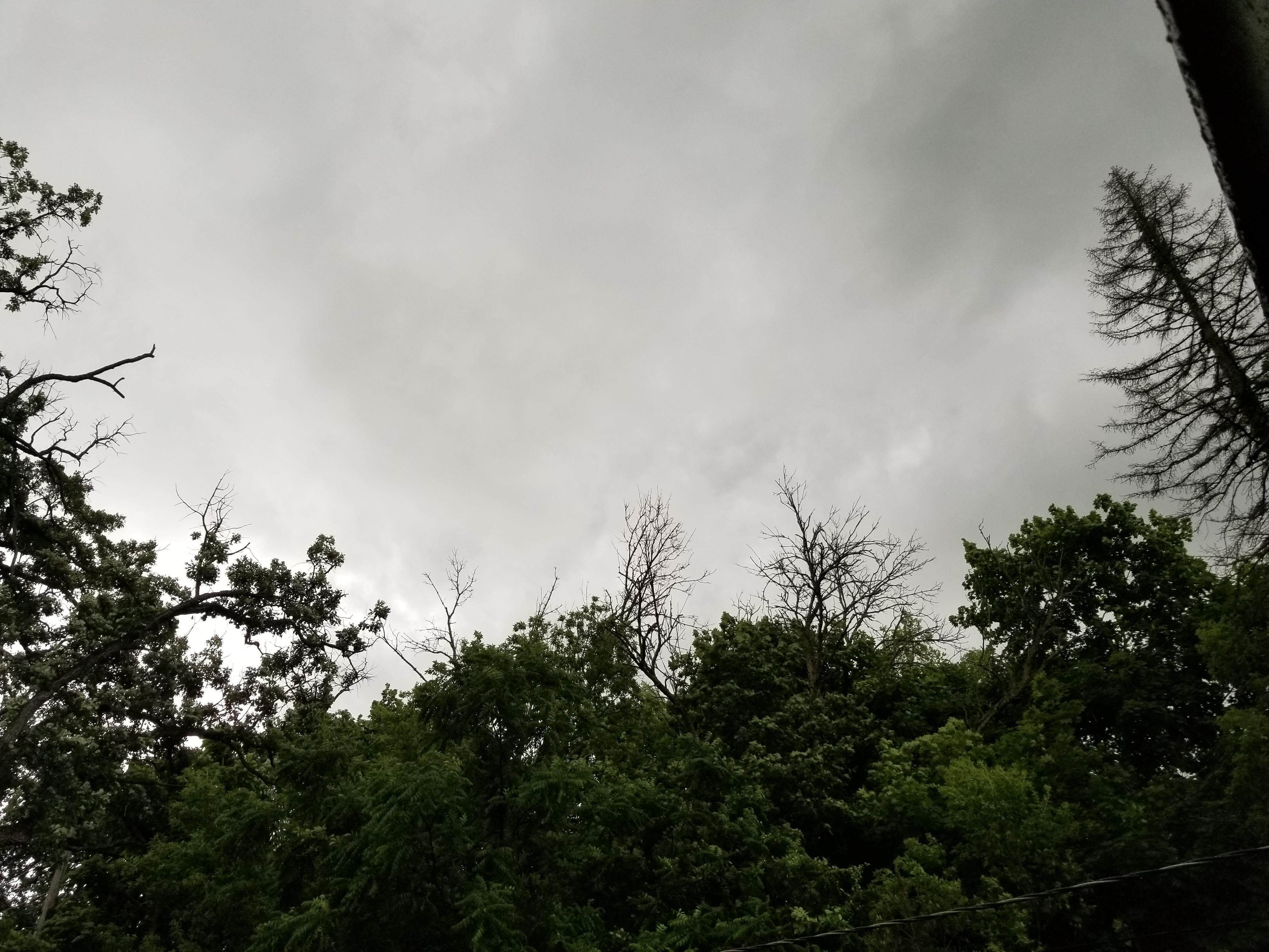 Taken 6/29/20 Lindenhurst IL just after it stopped hailing. r/weather