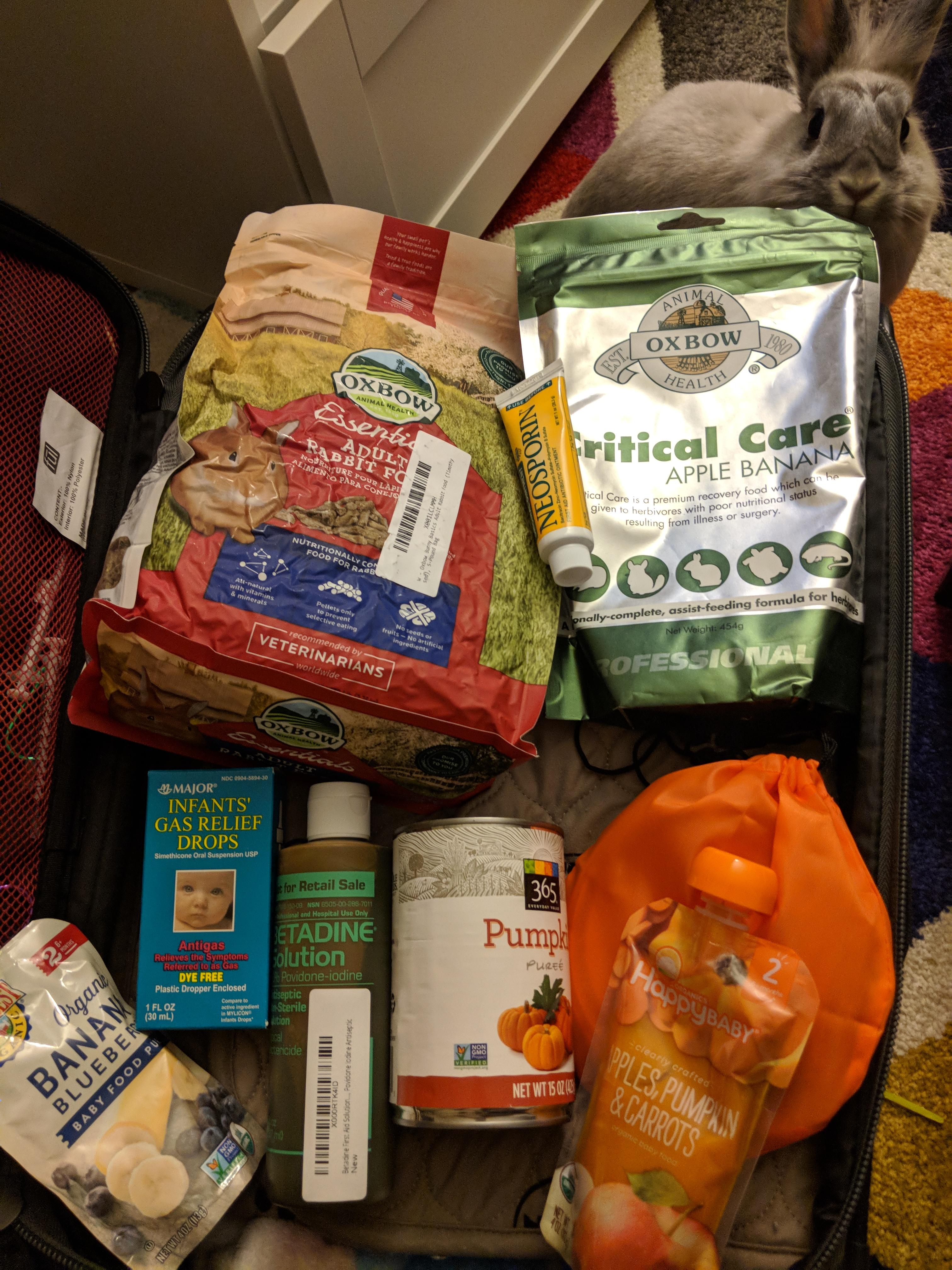 Prepped my bunny emergency kit for two Rabbits