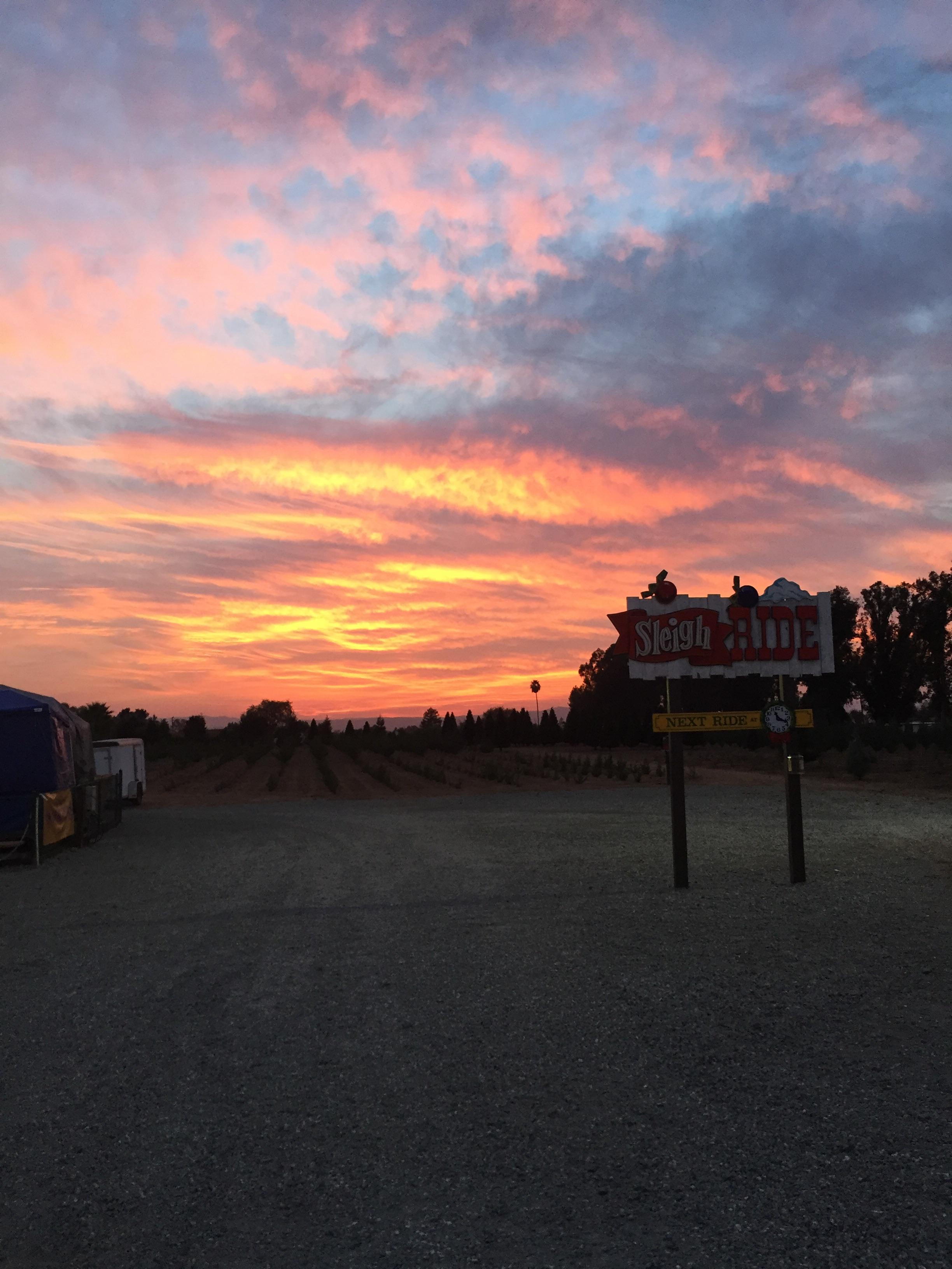 Merry Xmas from hollister California r/pics