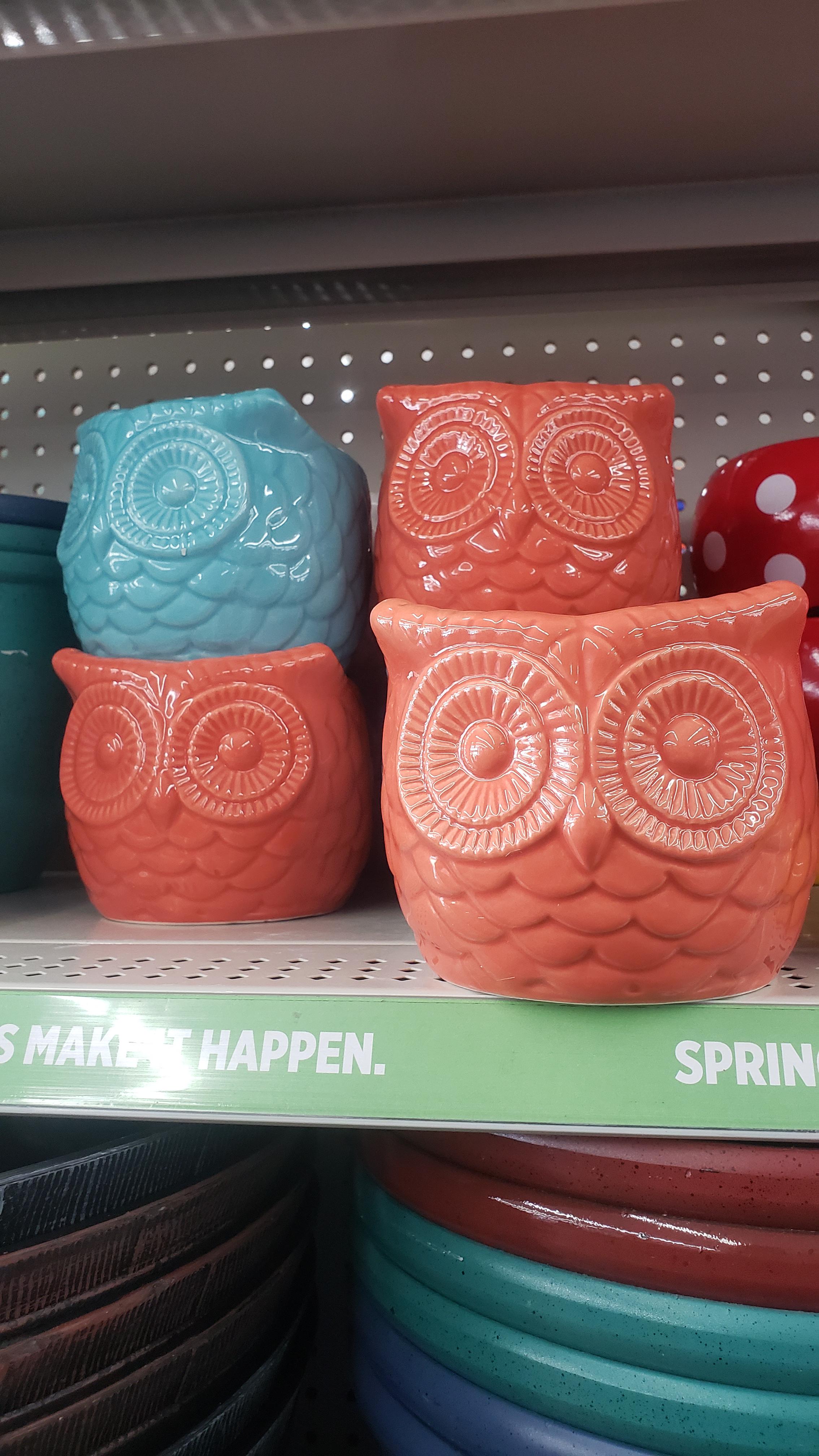 Saw these owl pots at Dollar General 🤔🤔 r/nightowlseeds