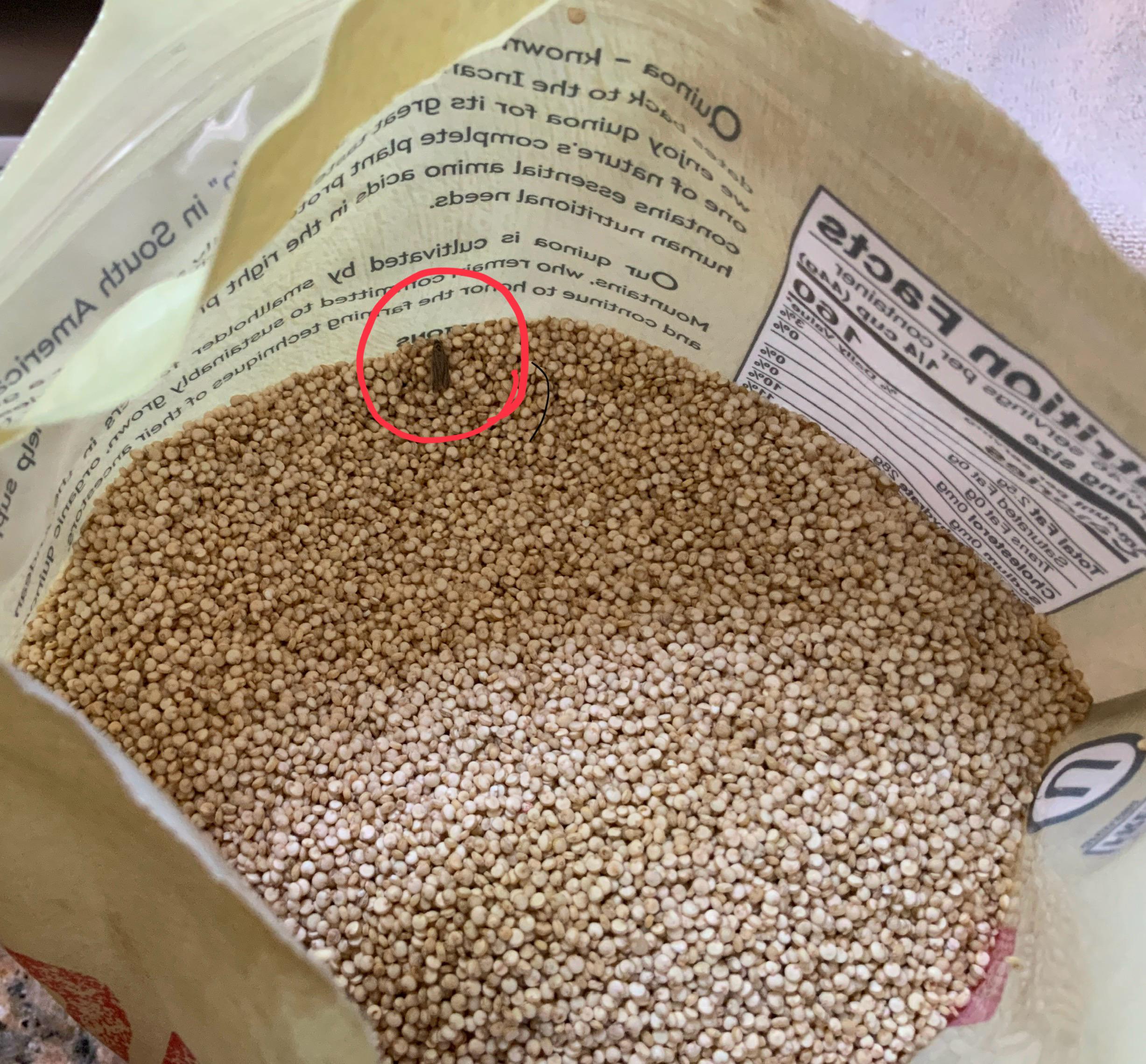 Bugs in Kirkland quinoa…what should I do? r/Costco