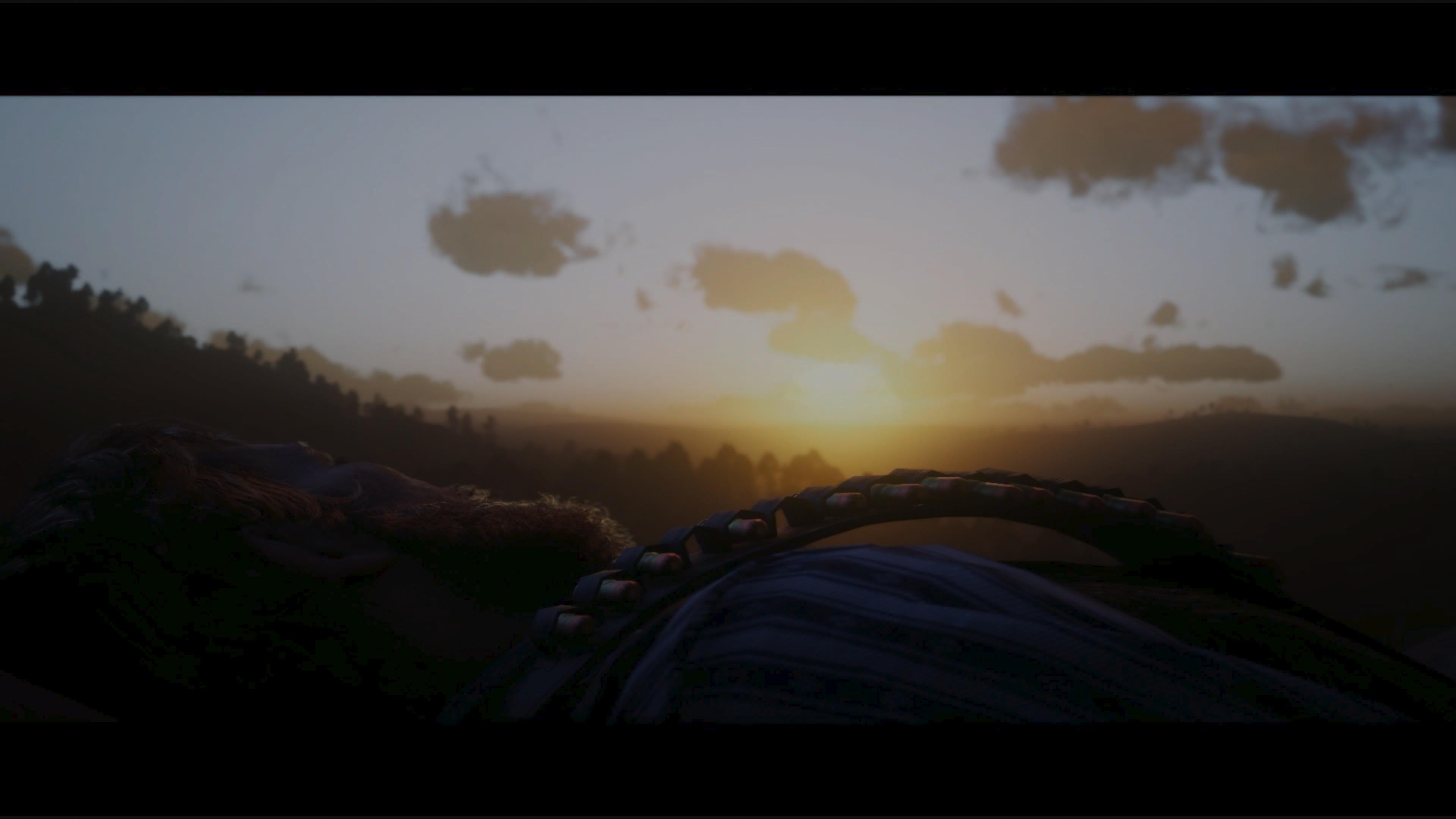 Finally Finished RDR2 Main Story! r/reddeadredemption