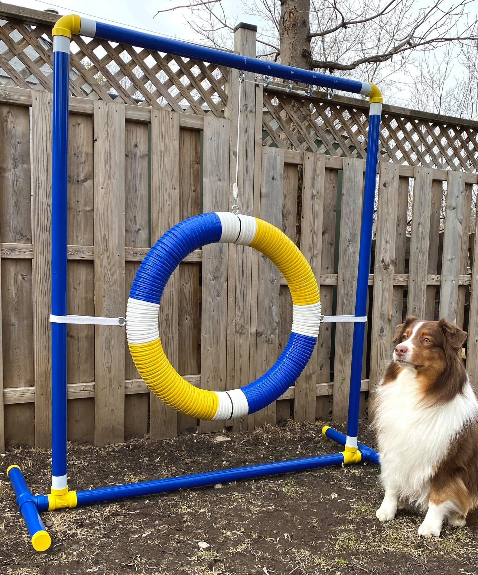 My DIY Tire Jump r/Agility
