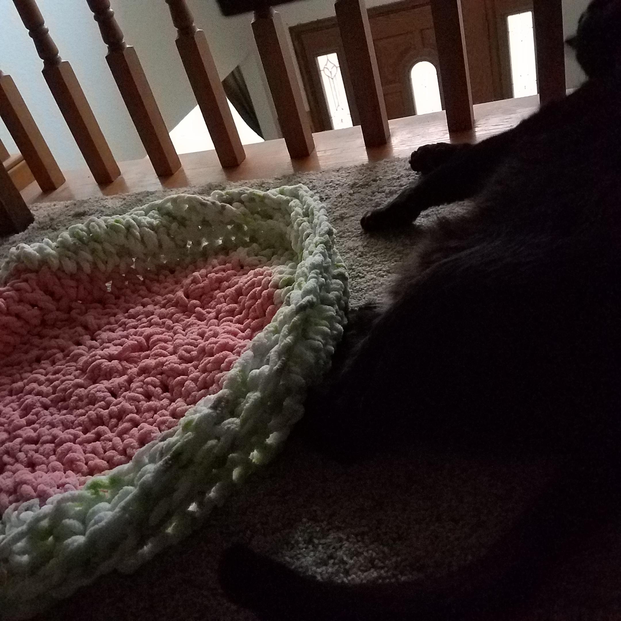 I made my old man cat a bed and he won't sleep in it. Bernat baby blanket yarn, no pattern (dc