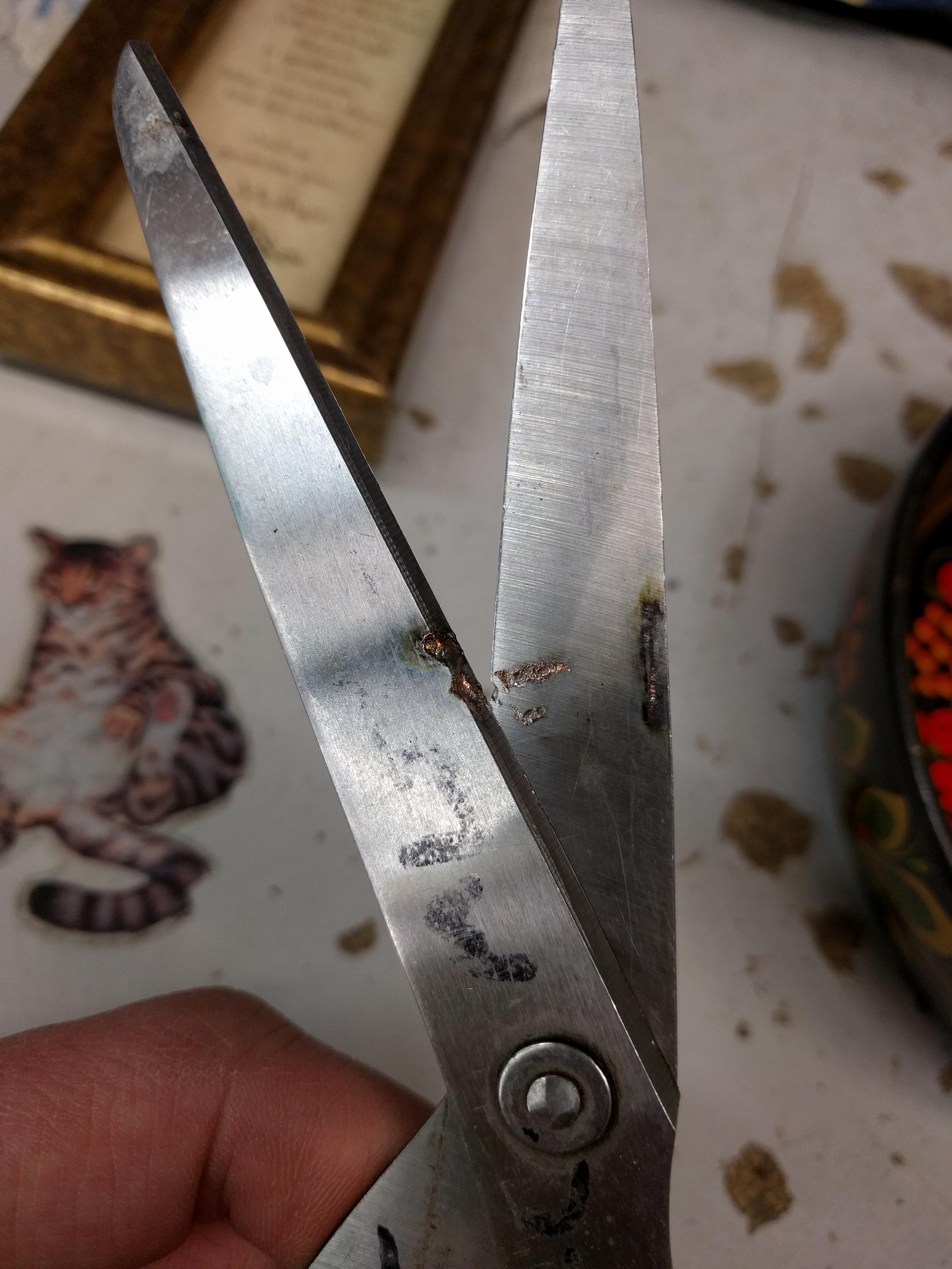 Keep electronics plugged in while clipping power cords! r/OSHA