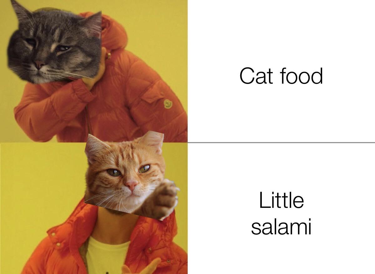 just give the cats a lil salami