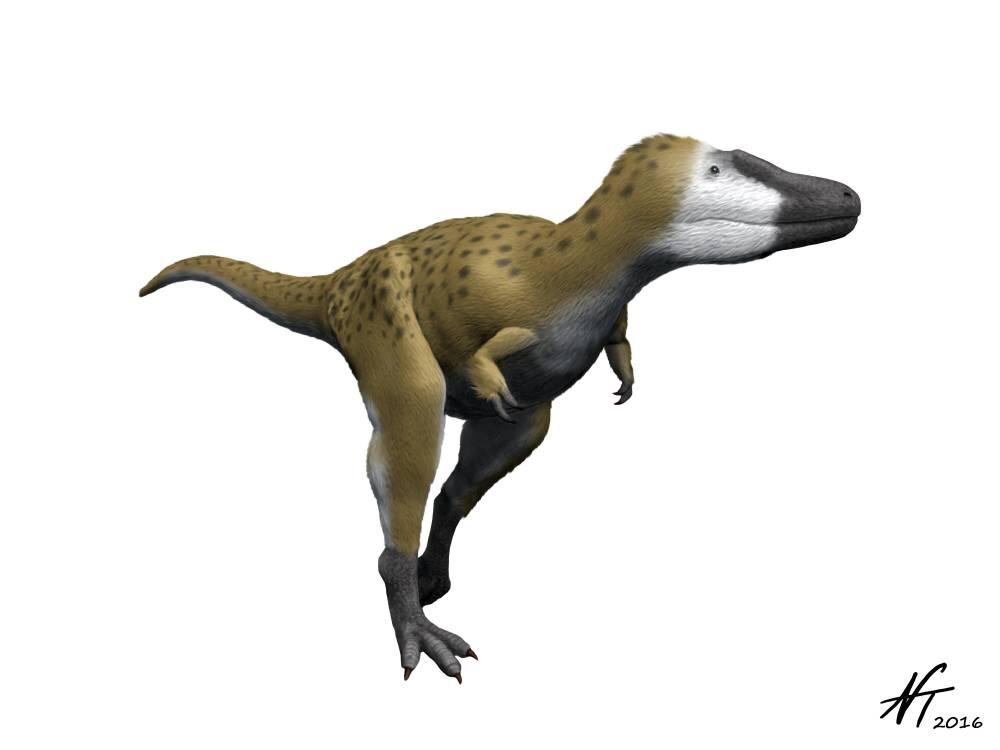 What’s your favorite synonym dinosaur? Mine is Nanotyrannus r/Dinosaurs
