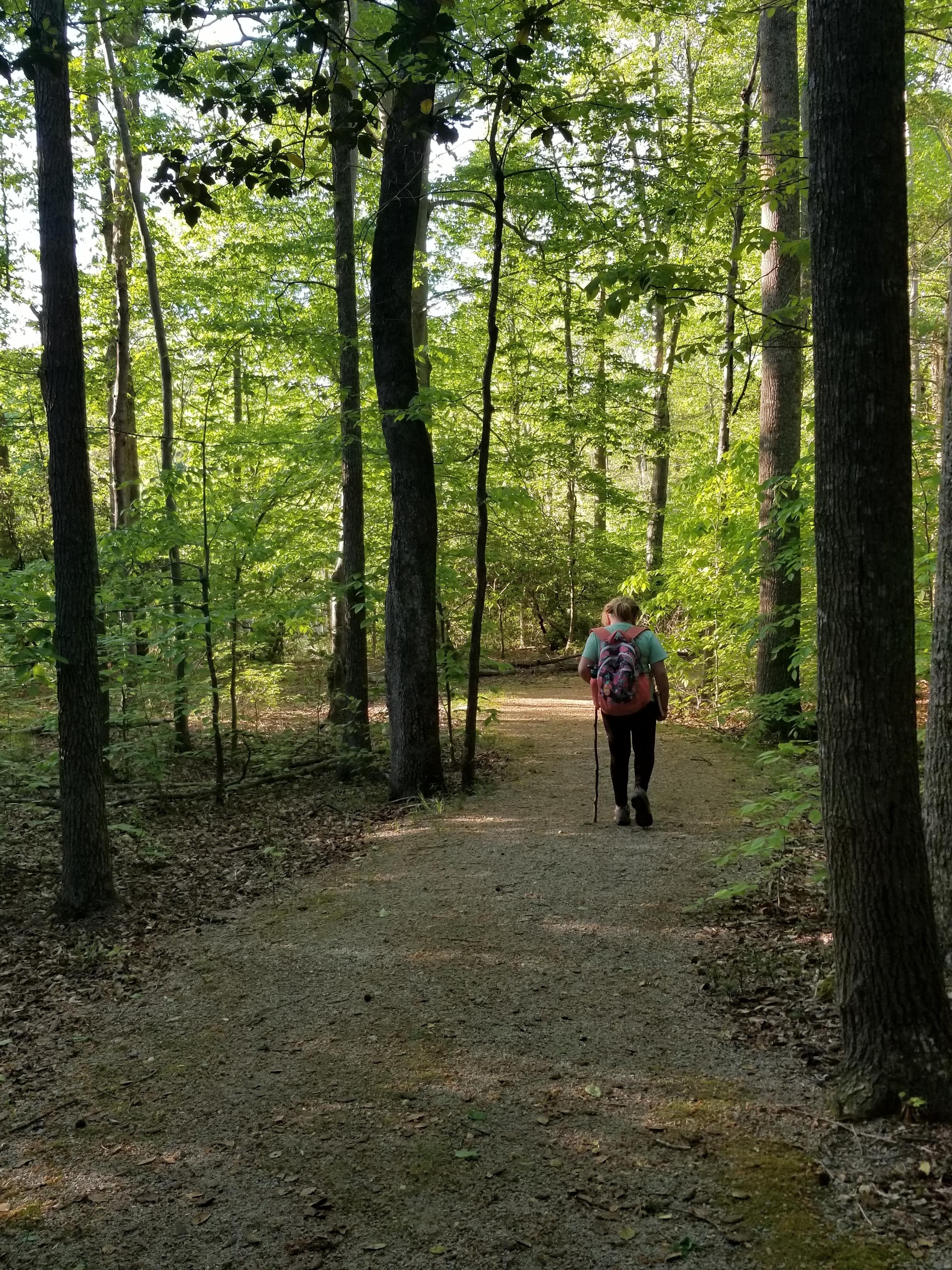 April 27th, 2019. Mason Neck State Park, Dogue Trail. Lorton, VA, USA