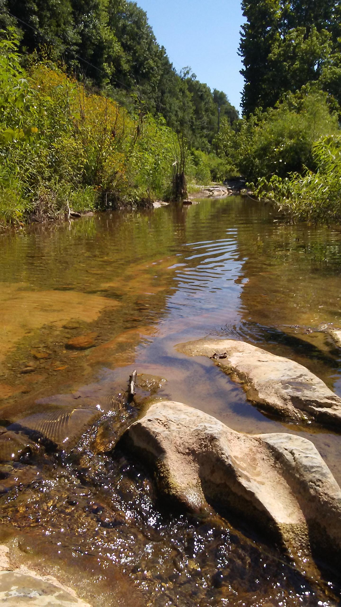 Creek in tn. r/Tennessee