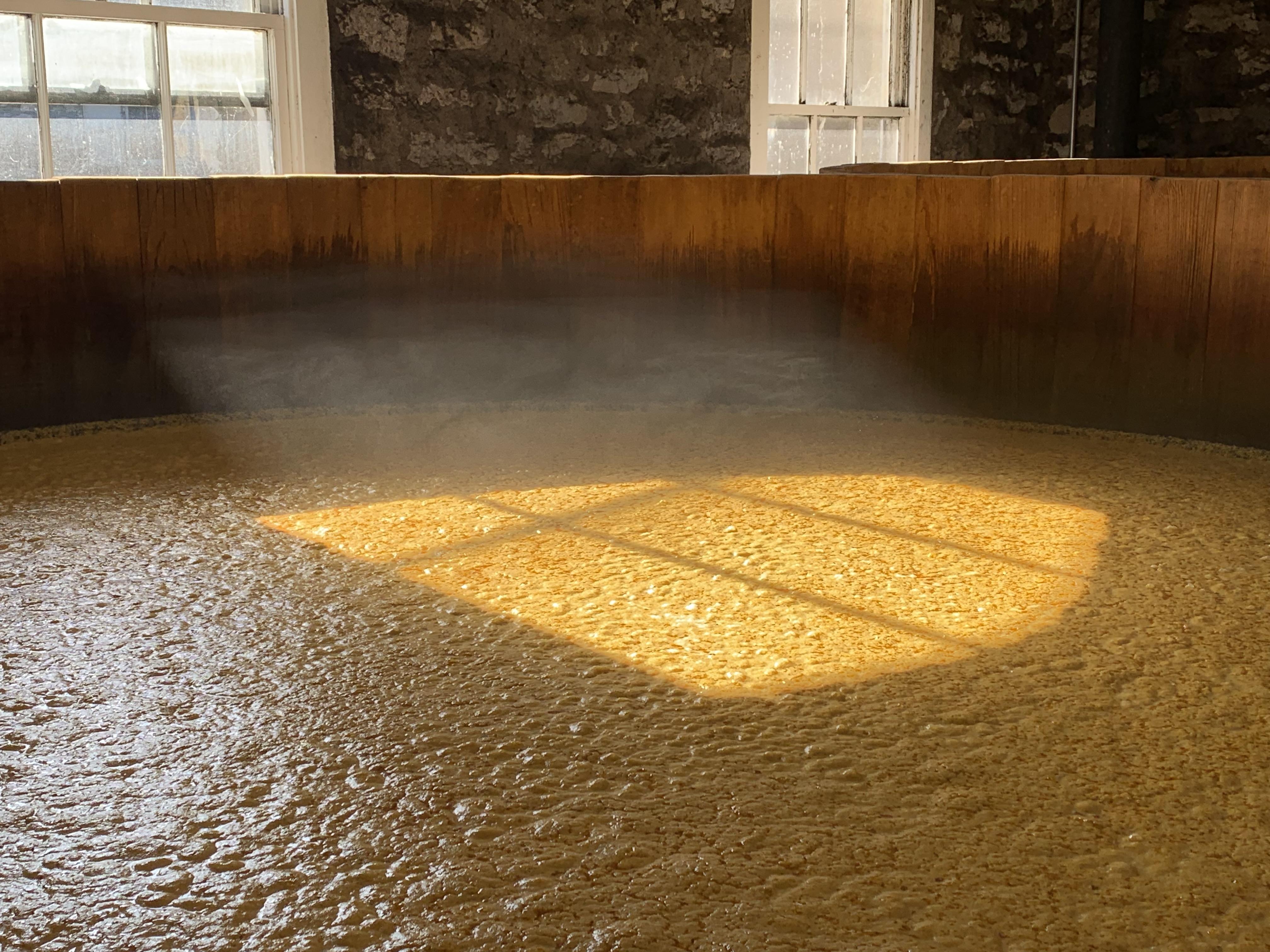 Corn mash fermenting at a bourbon distillery r/pics