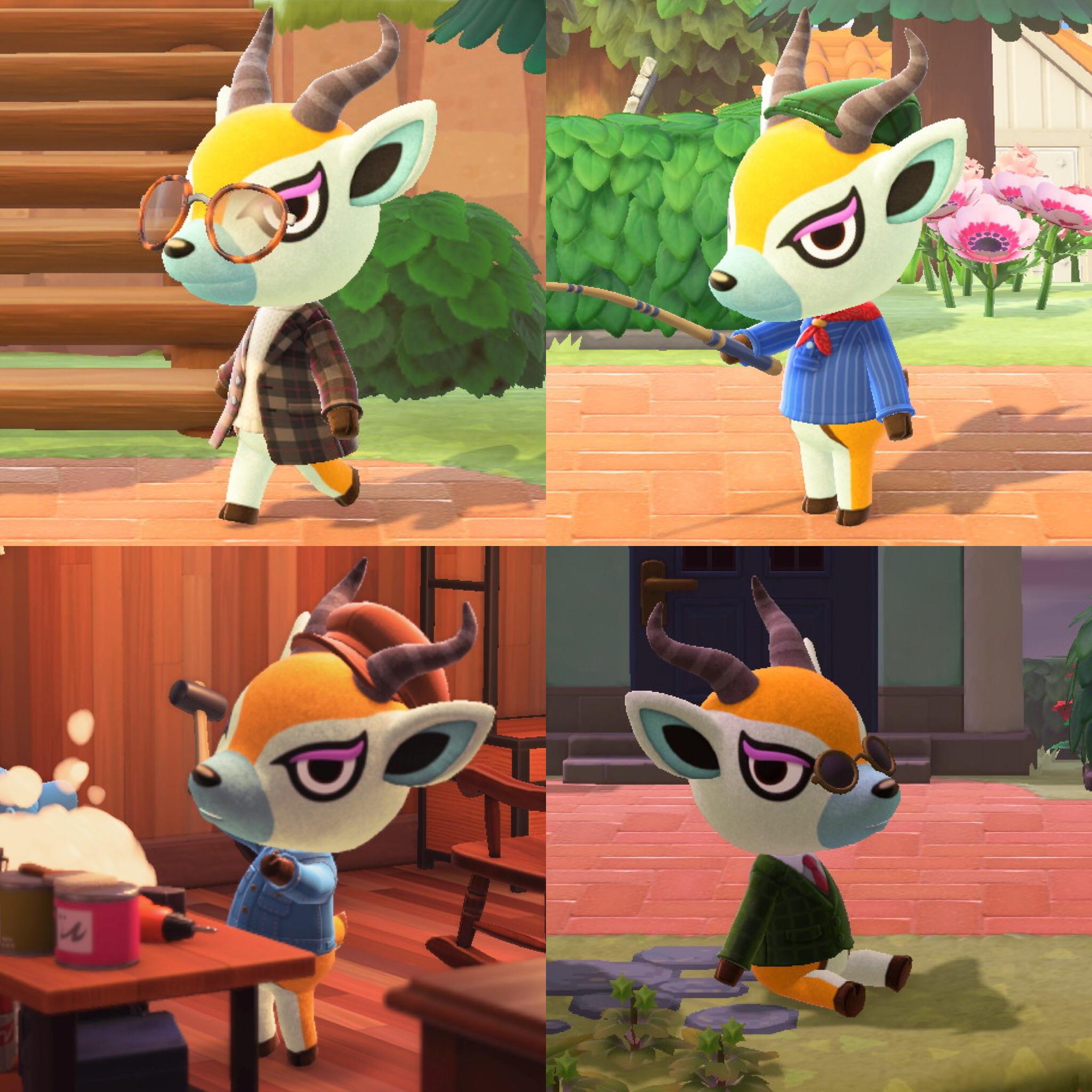 My most stylish villager, Lopez 😎 r/AnimalCrossing