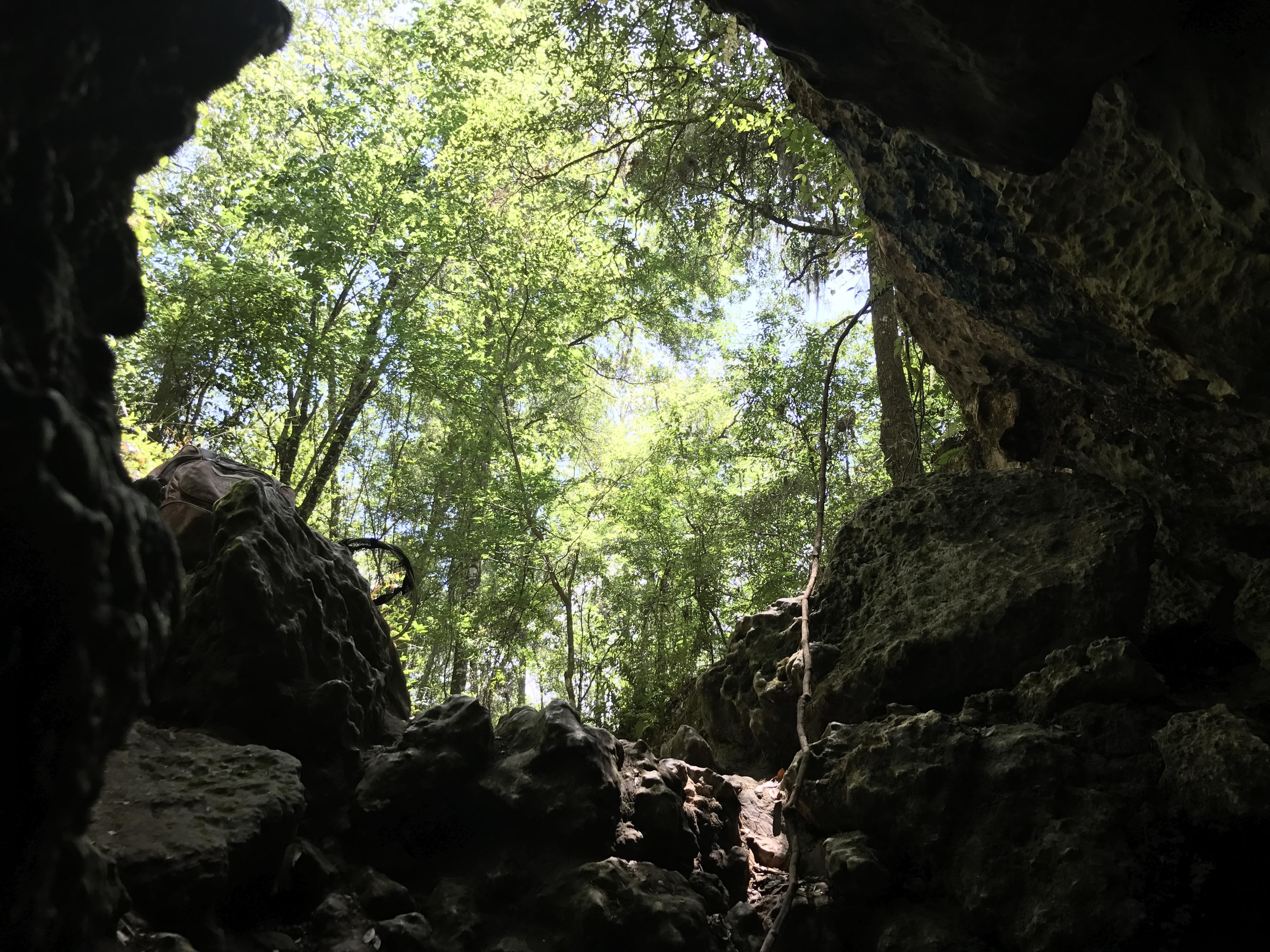 The Caves in Citrus County, Lecanto, Fl r/florida