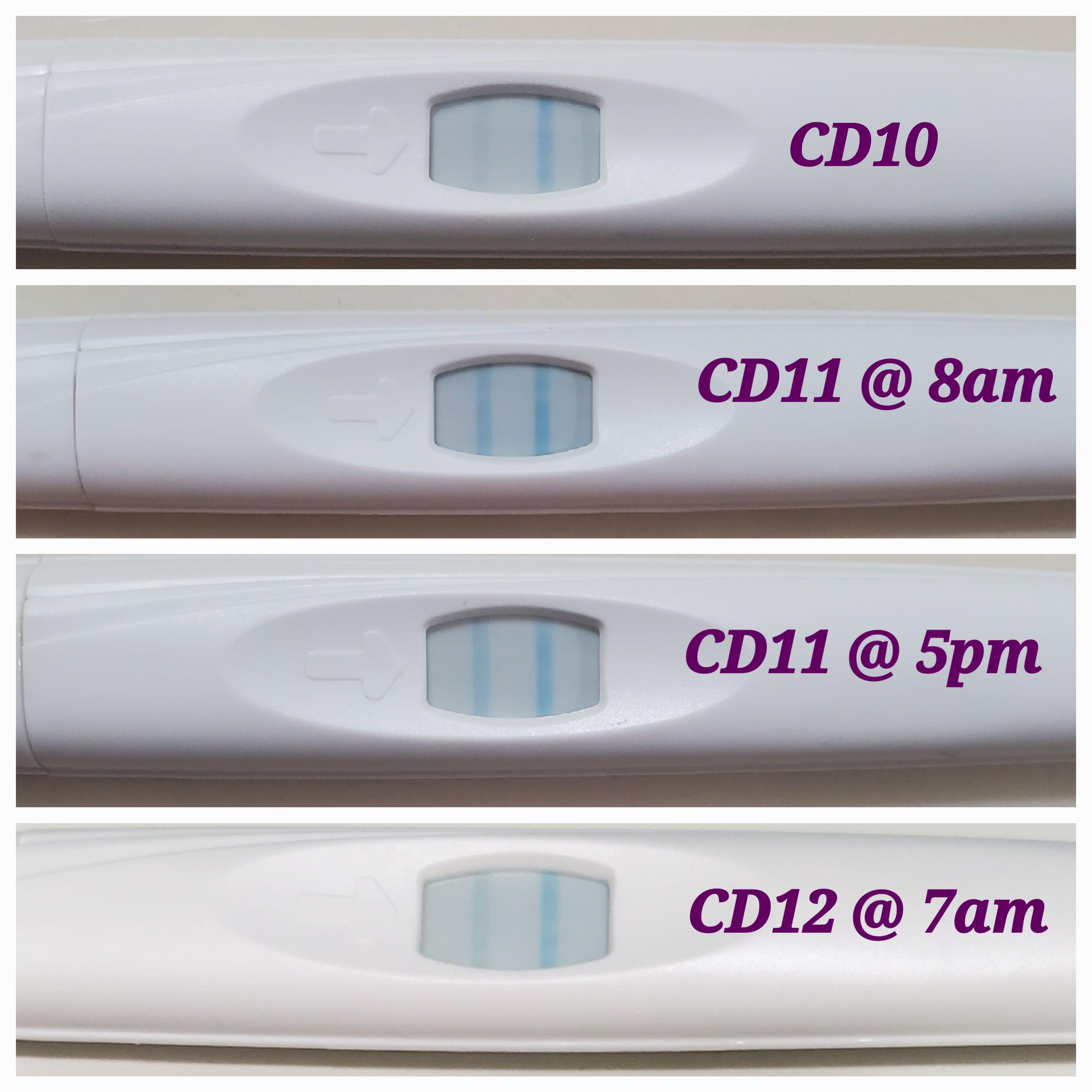 Cycle Day 12 Equate Early Ovulation Test Kit Did I get a positive