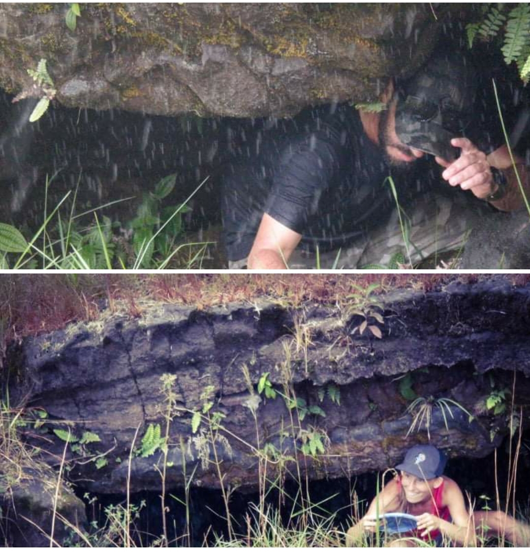 Playing disc golf in hawaii 😂 r/discgolf