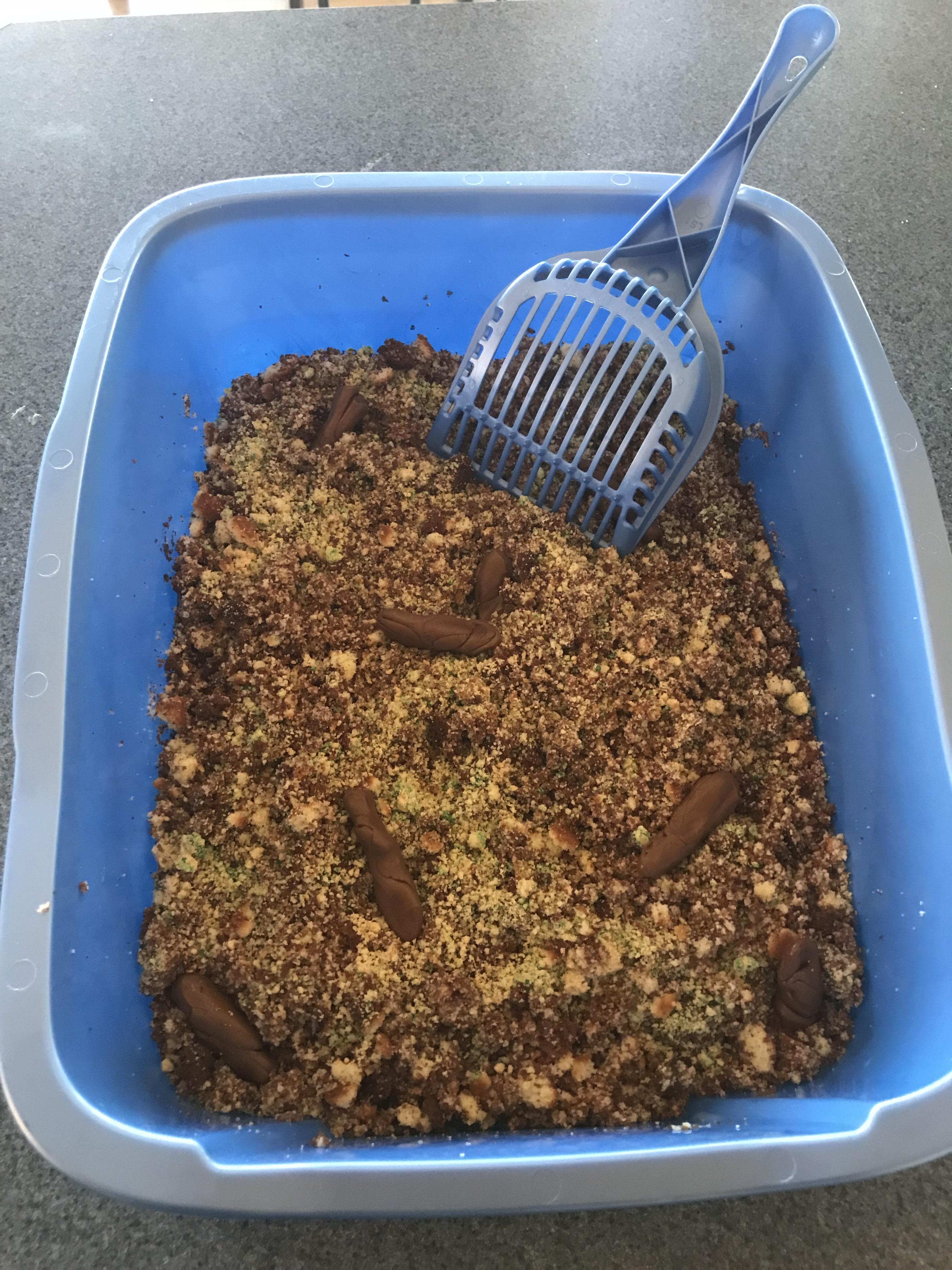 Made a kitty litter cake for Halloween r/halloween