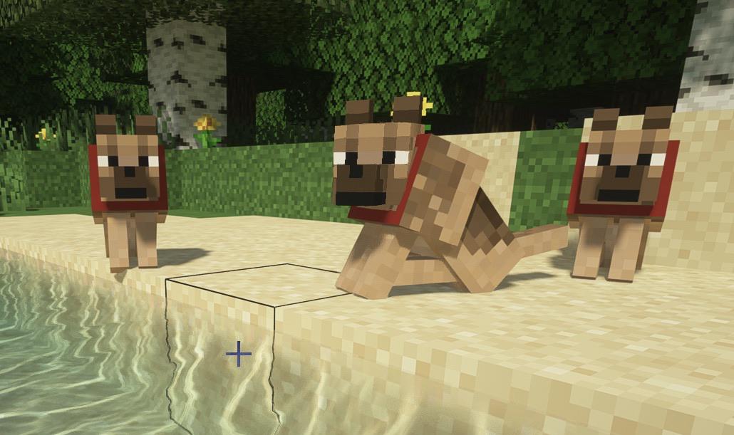 I’m working on a resource pack that adds a variety of dog breeds, my