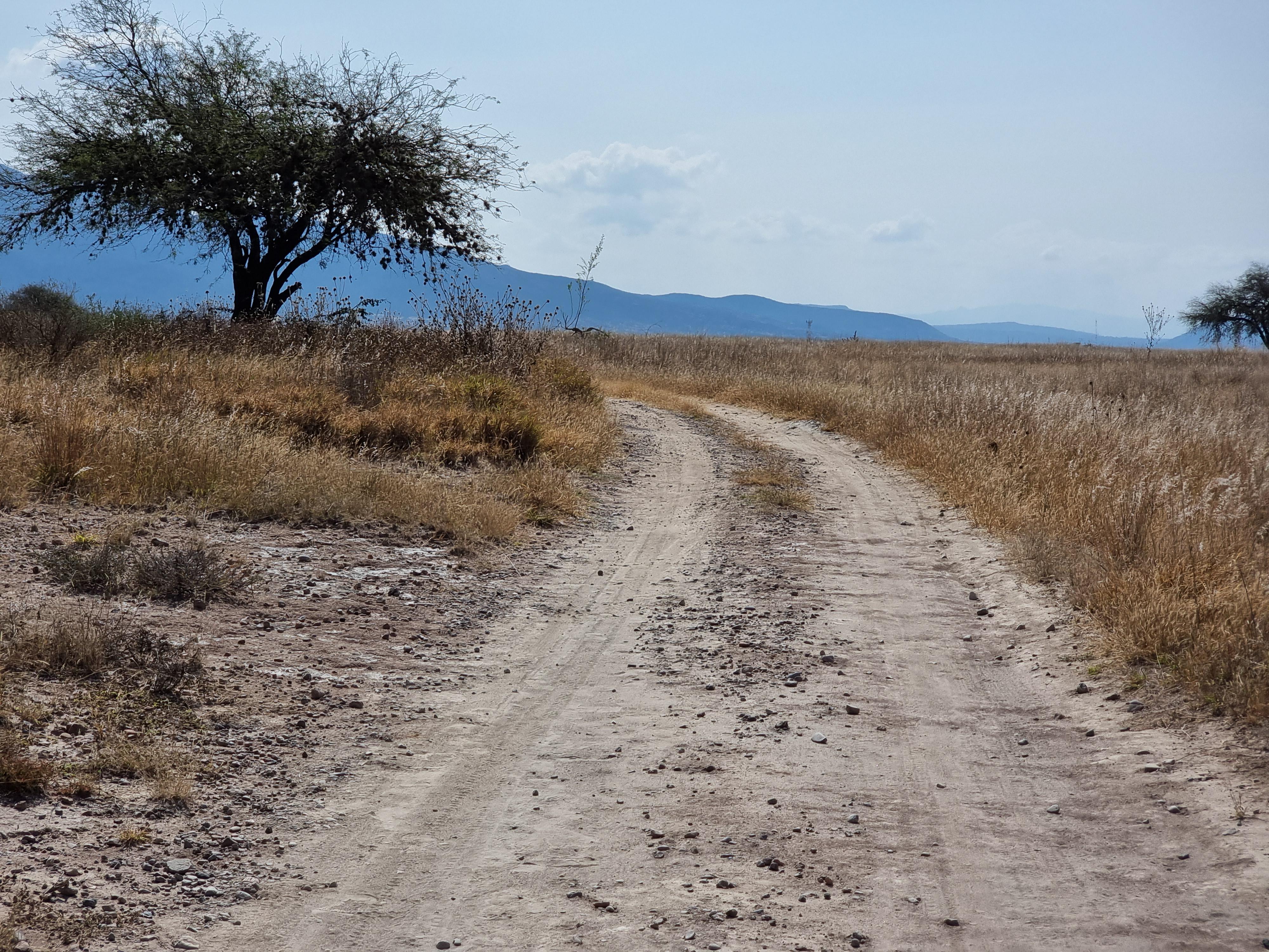 to Mexico Expats. r/mexicoexpats