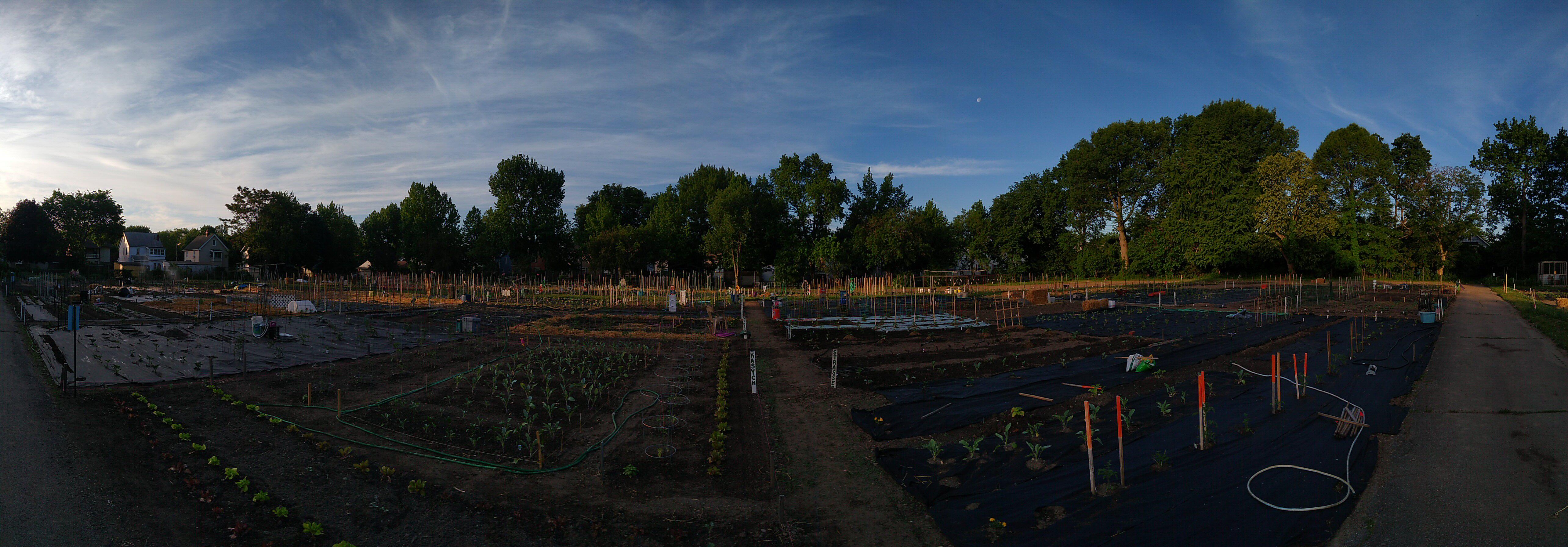 Ben Franklin Community Garden, Cleveland. 150 plots over 3 acres. r