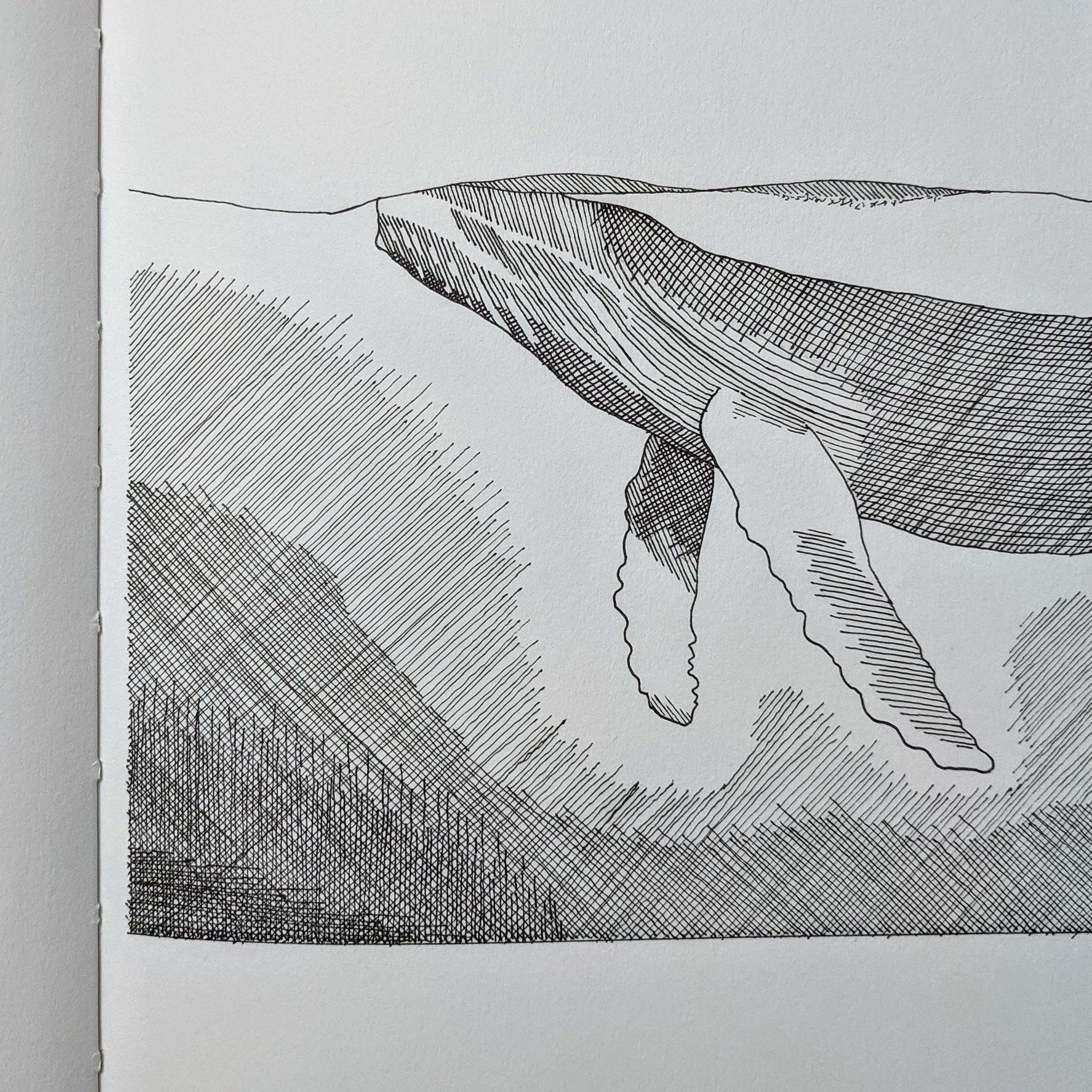 Trying to improve my line art technique. r/drawing