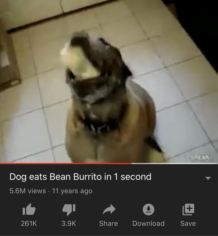 I have the world record in Bowsers big bean burrito r/videogamedunkey