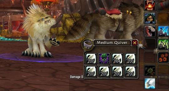 I restored an old account from wotlk. Found a rare/removed pet on my