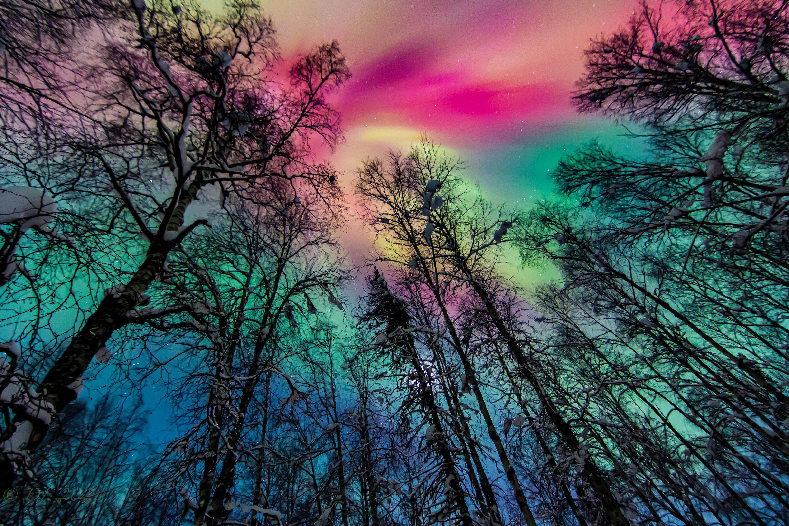 Best Talkeetna Posts Reddit