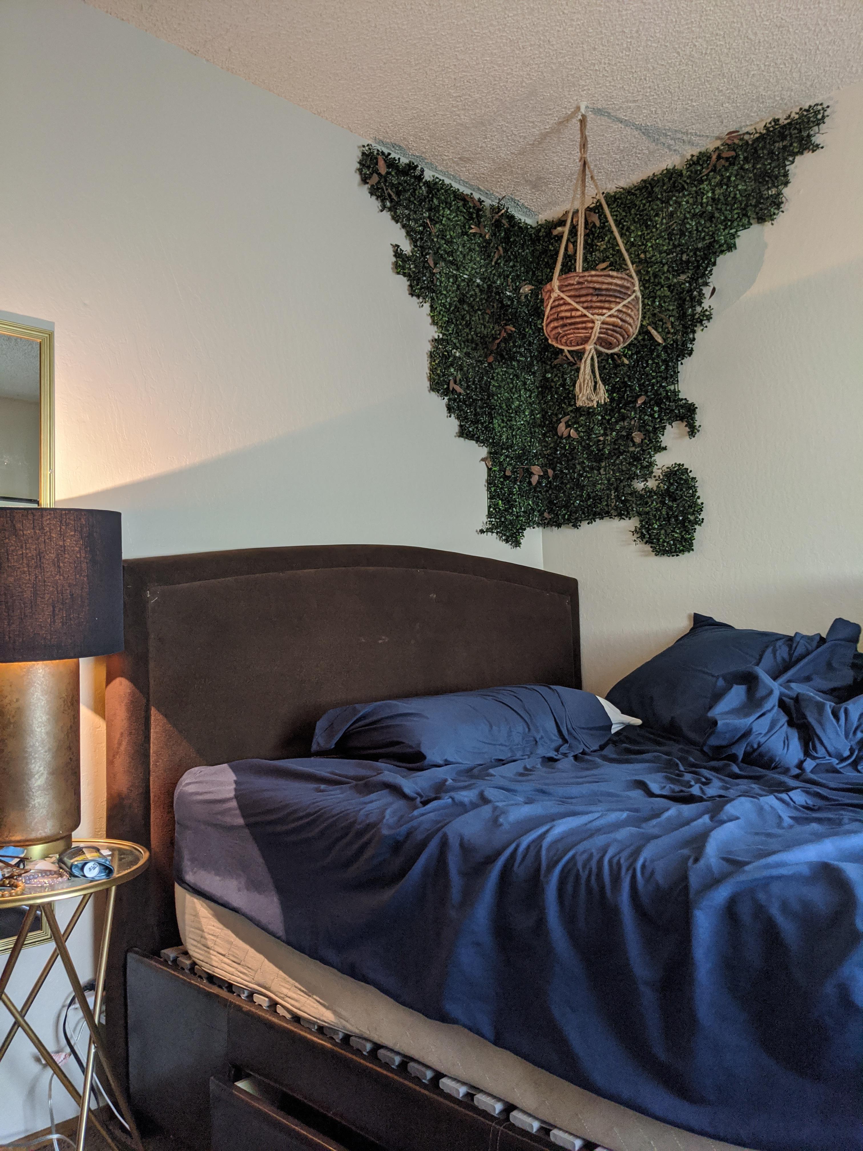 my "living wall" in the bedroom. r/malelivingspace