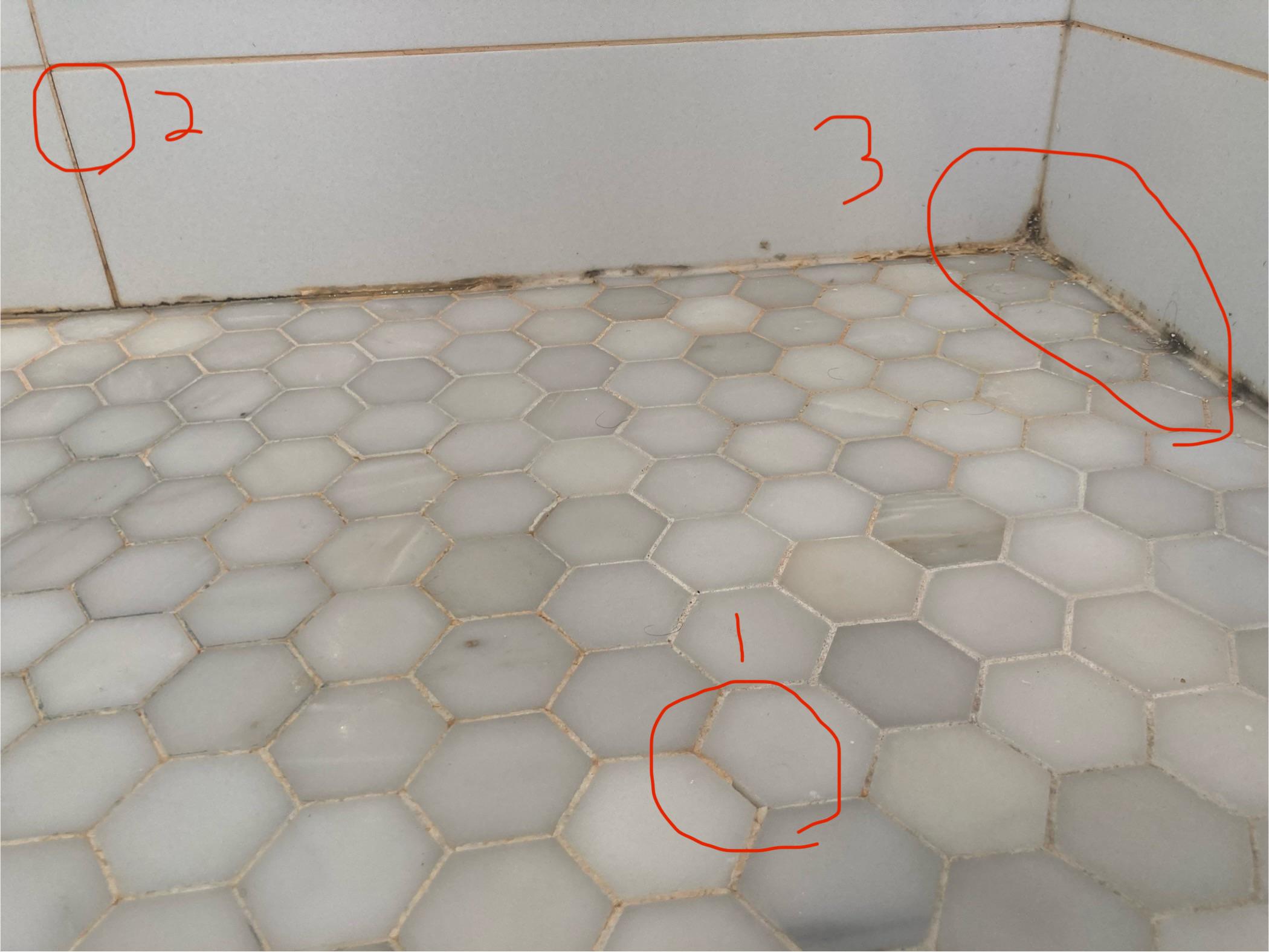 Shower tiles repair r/fixit