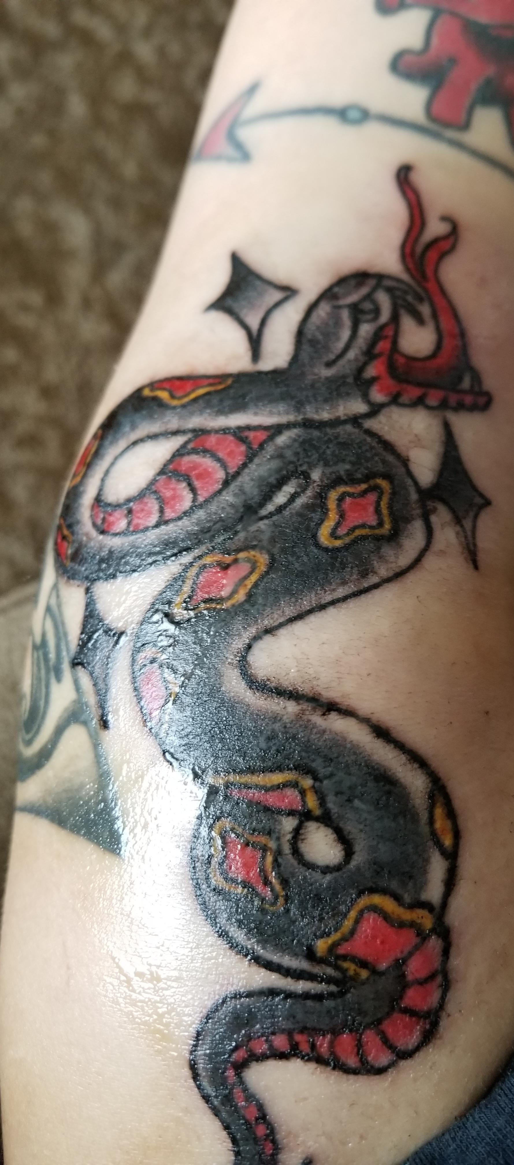 Snake tattoo by Danny from Evolution Tattoos, Reno Nevada tattoos