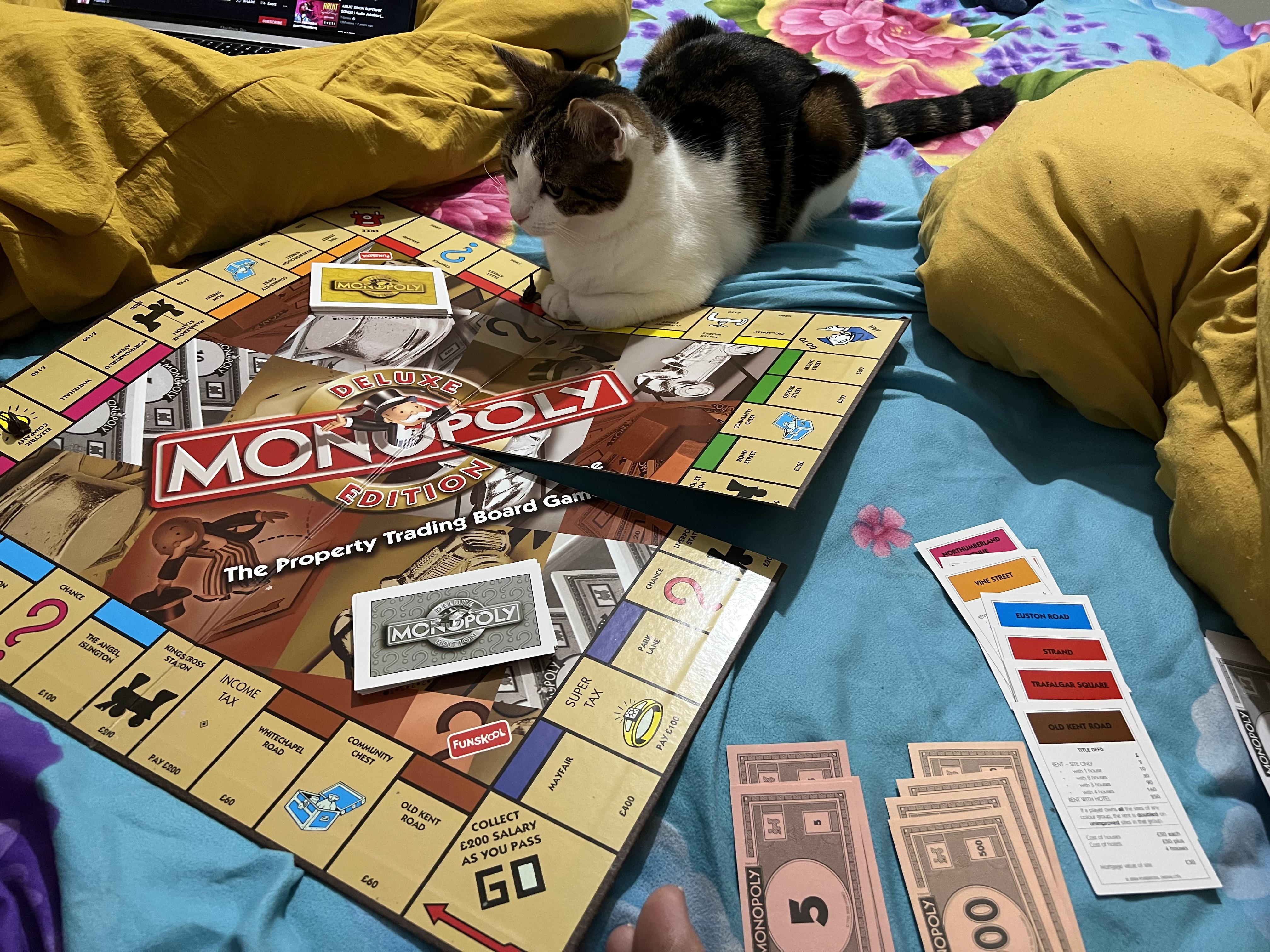 My cat loves playing monopoly : r/cats
