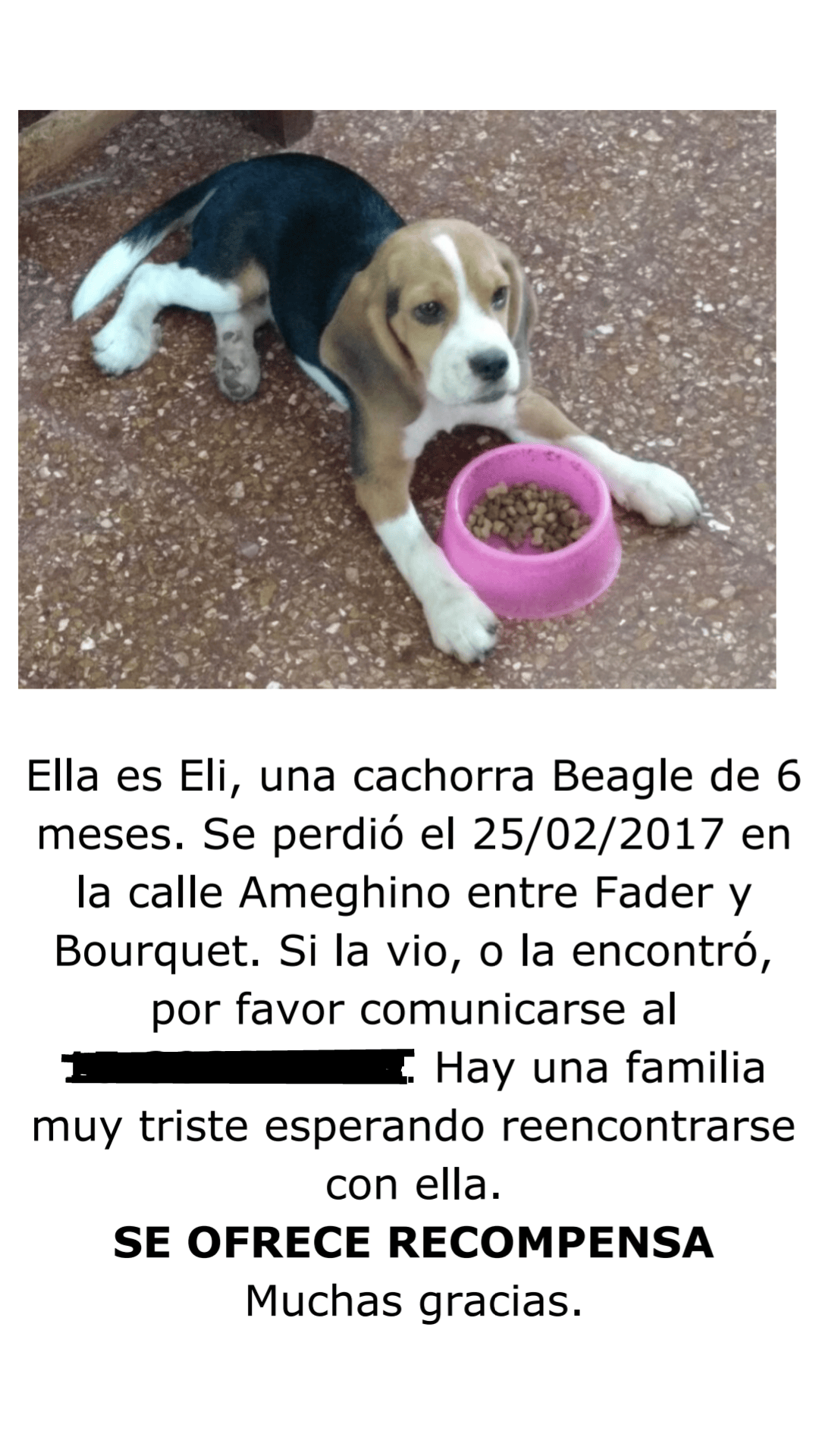 Necesito de su ayuda. Perro perdido [Zona Sur/Luis Guillon] argentina