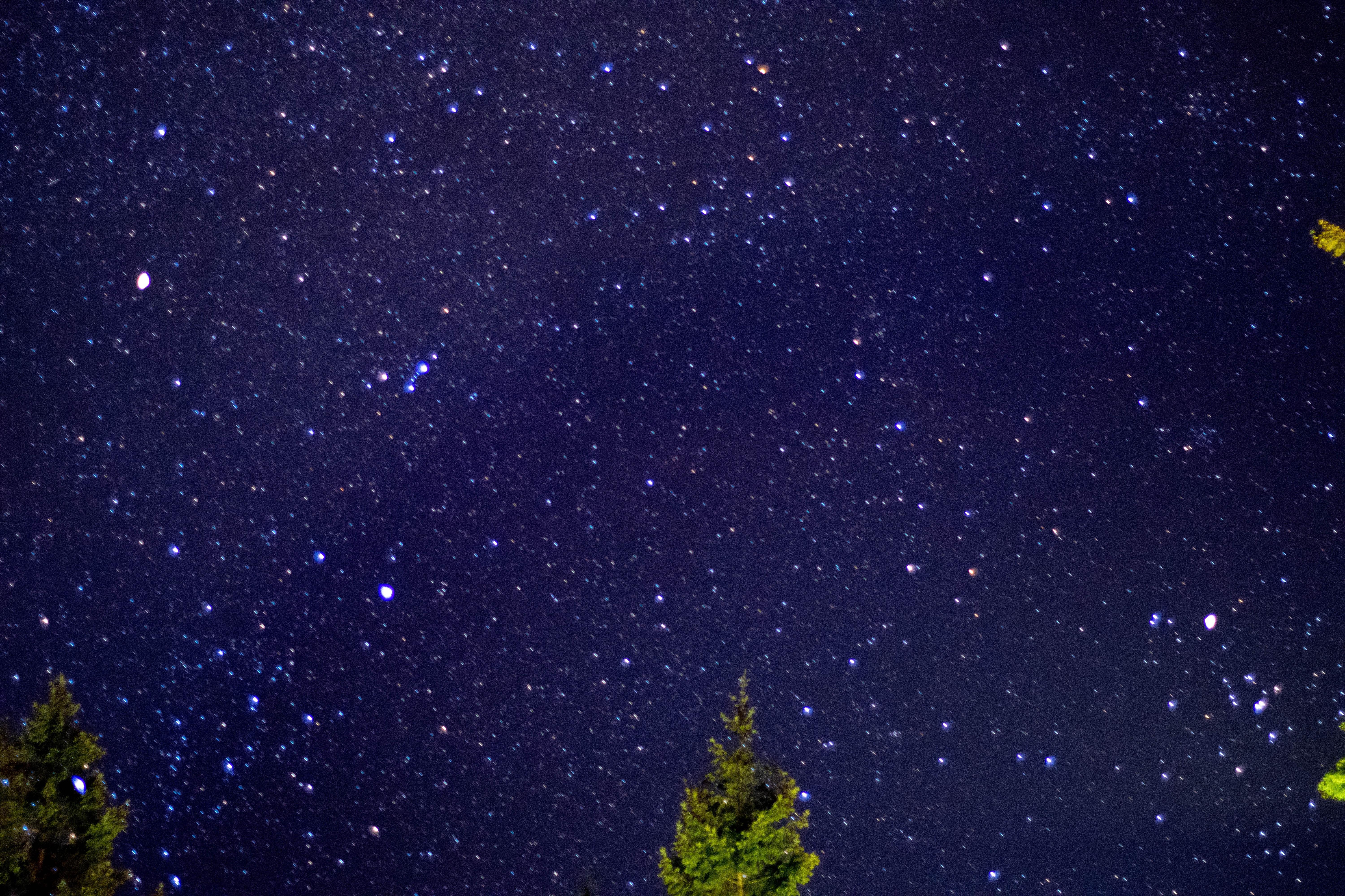 First attempt at star photography. Taken with Nikon D3300 r