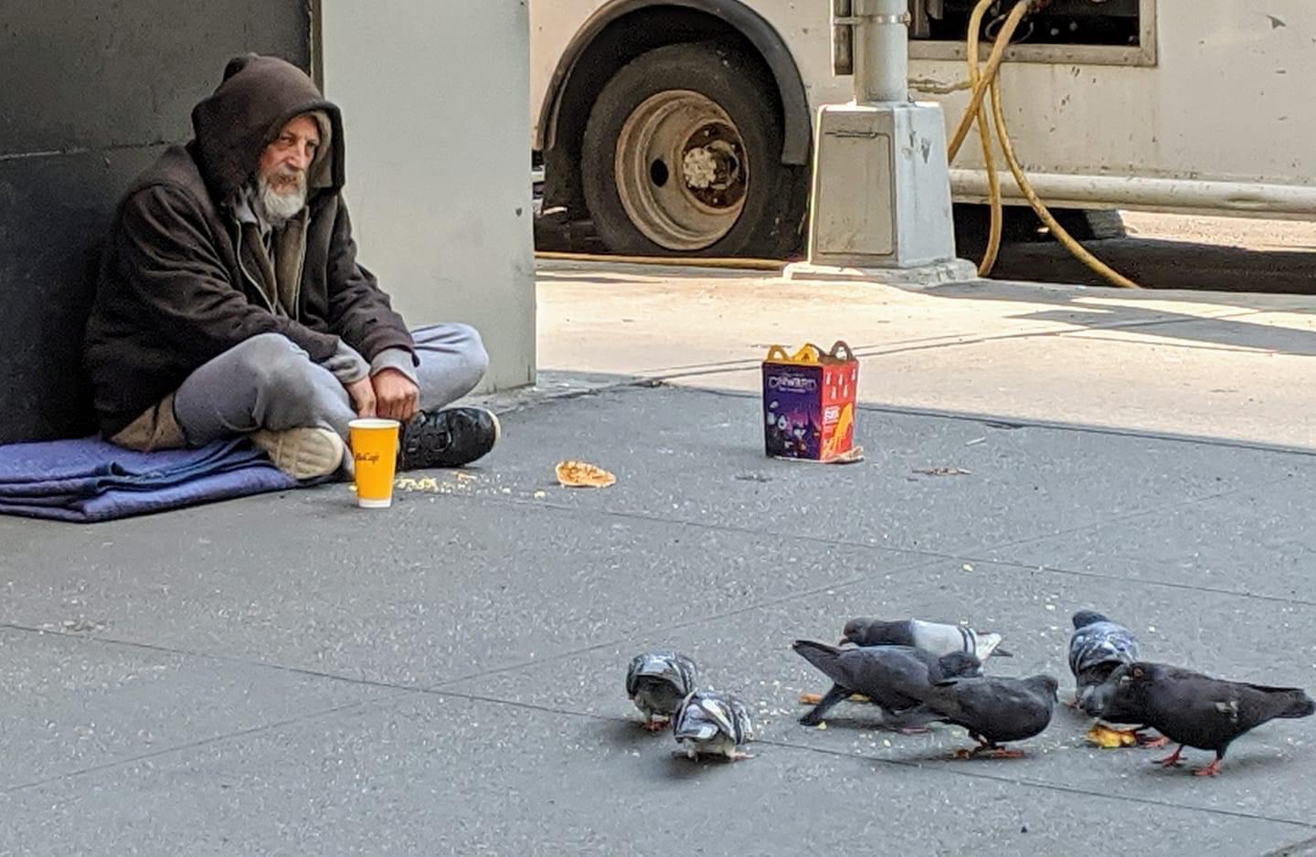 New York City homeless man sharing his food with pigeons during