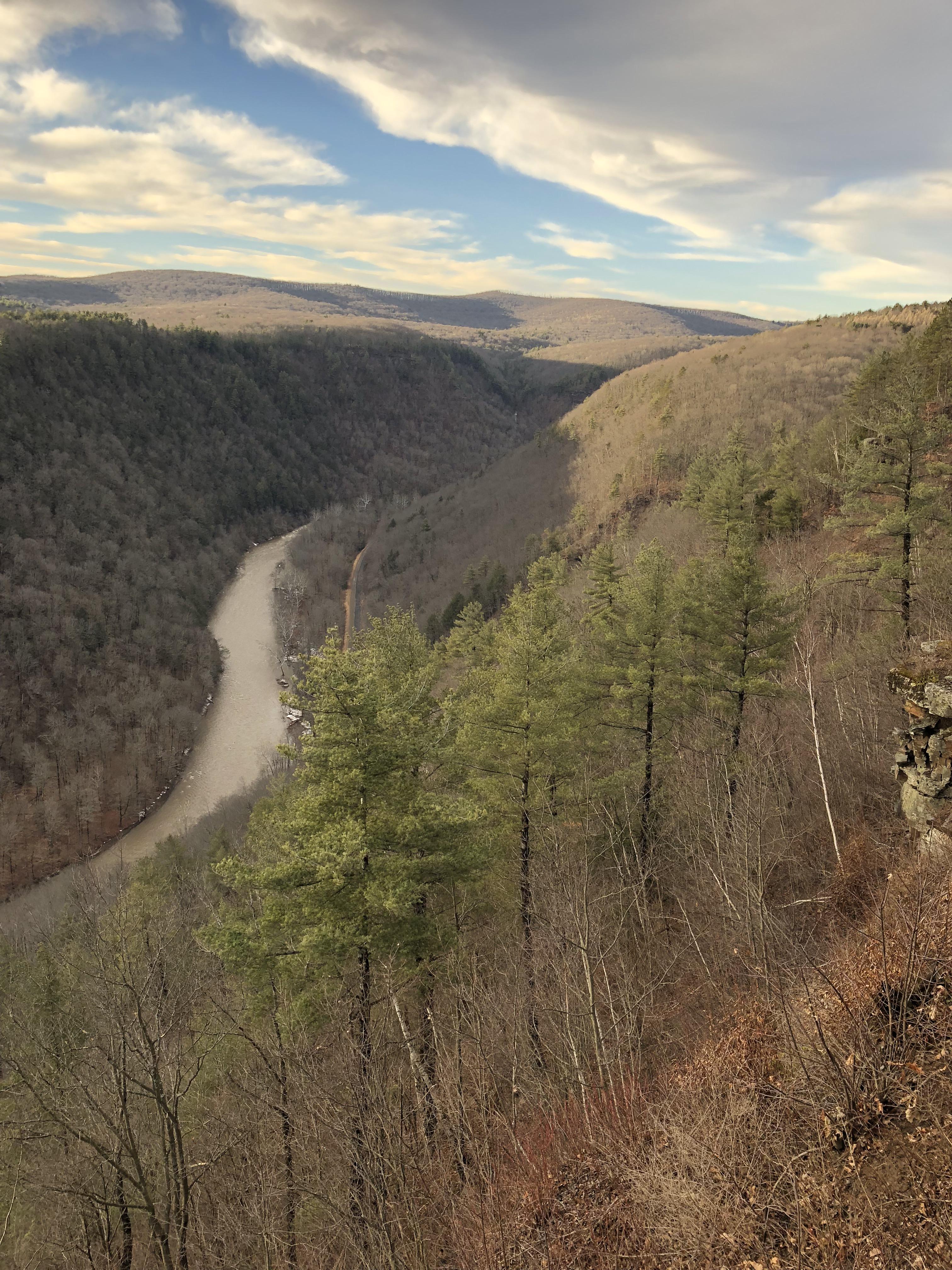 The Pine Creek also known as the Pennsylvania Grand Canyon [OC