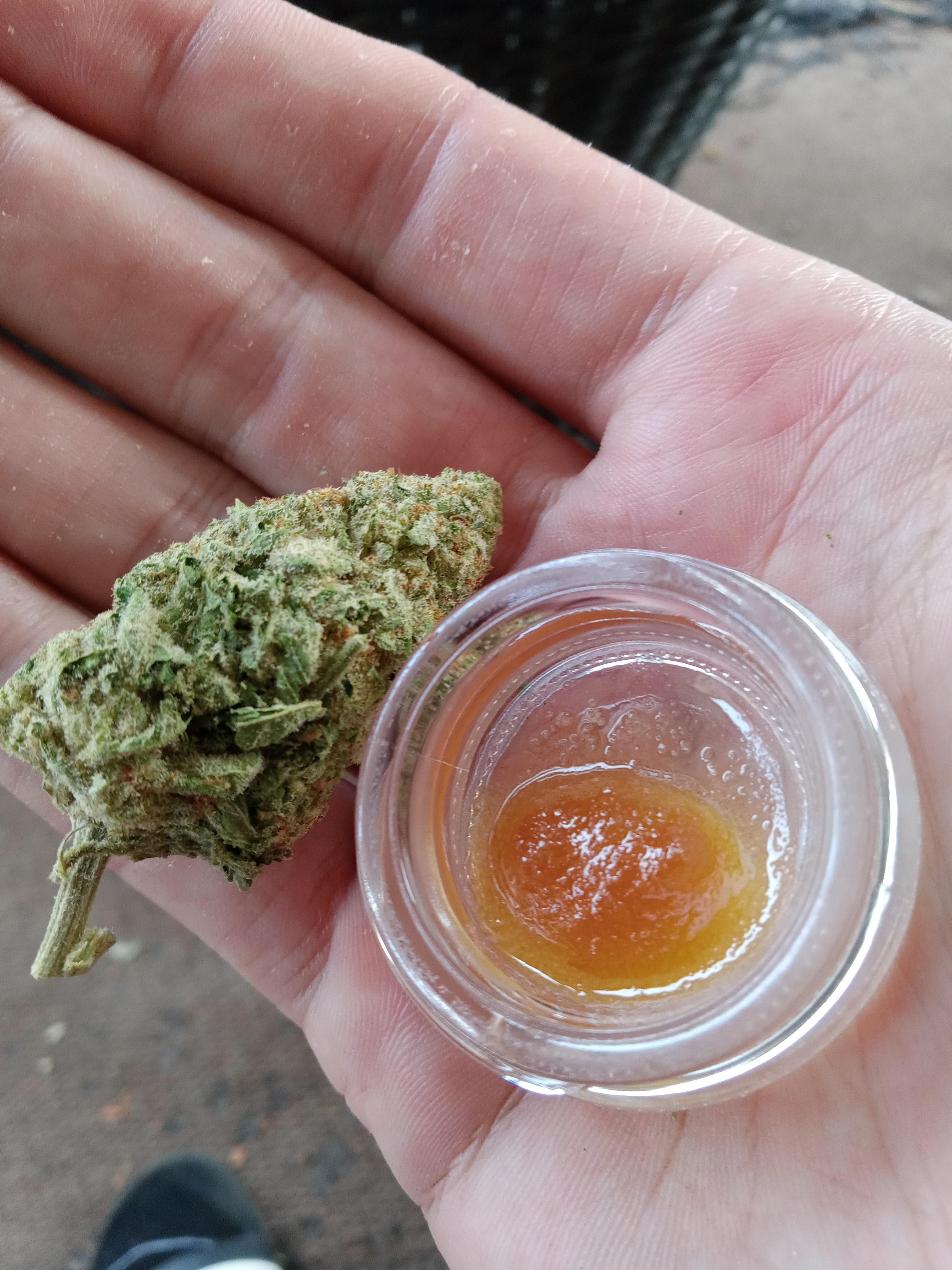 lemon Vuitton the pharm. 35 half at cura. ailen rock candy wax