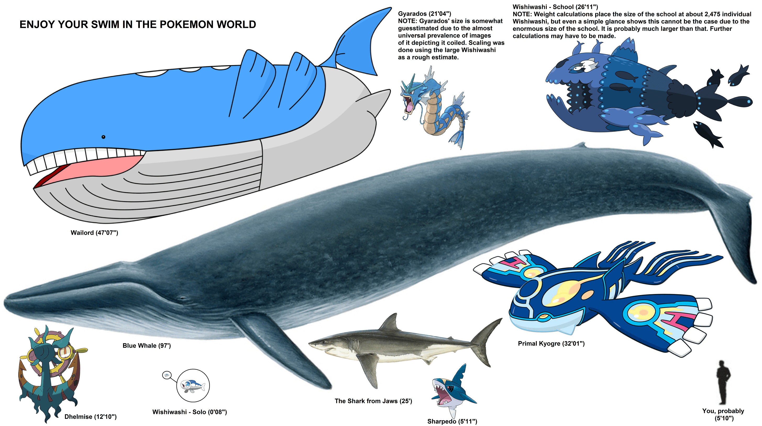 Pokemon Wailord Size
