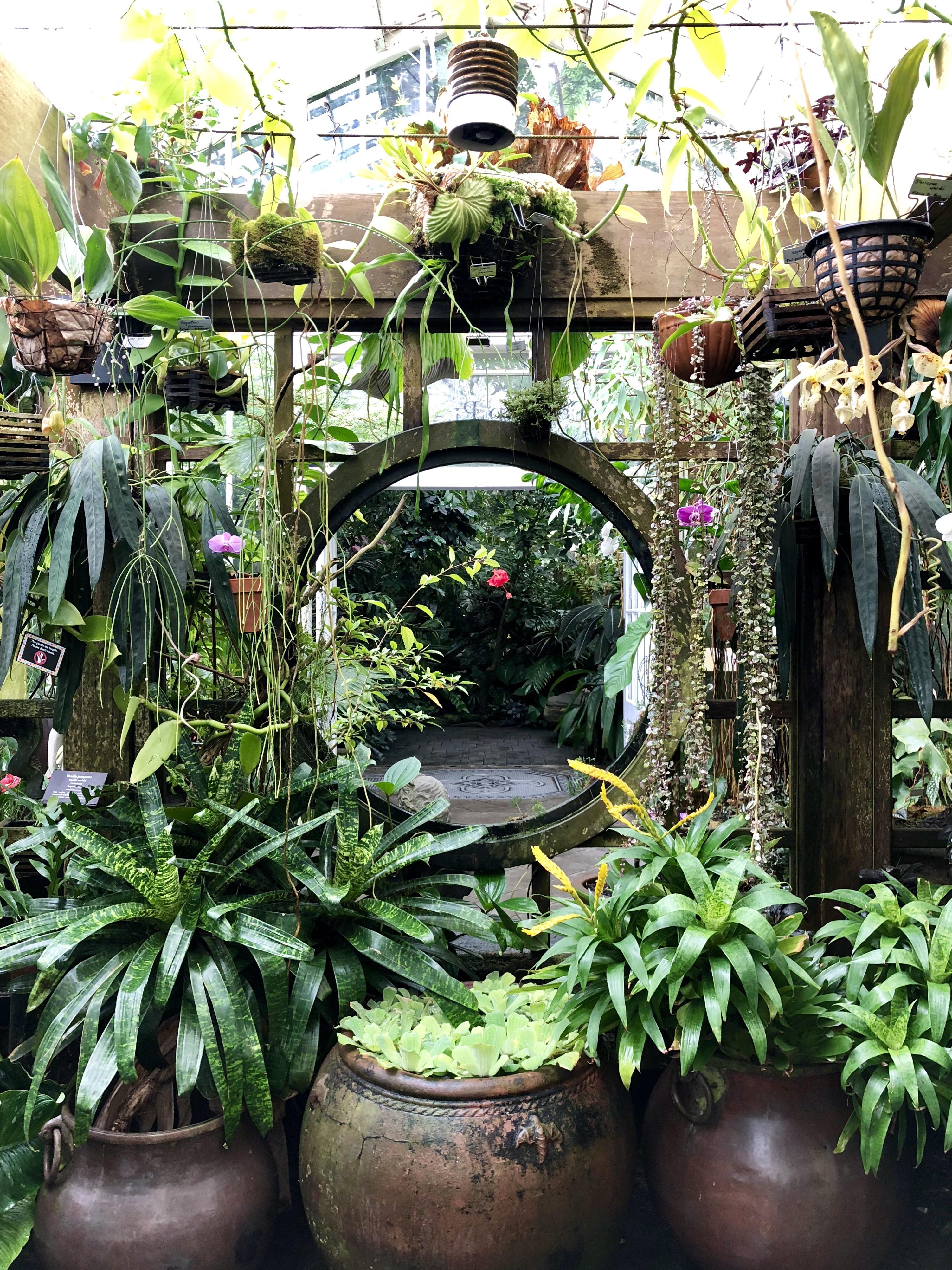 Can plants be cozy? r/CozyPlaces