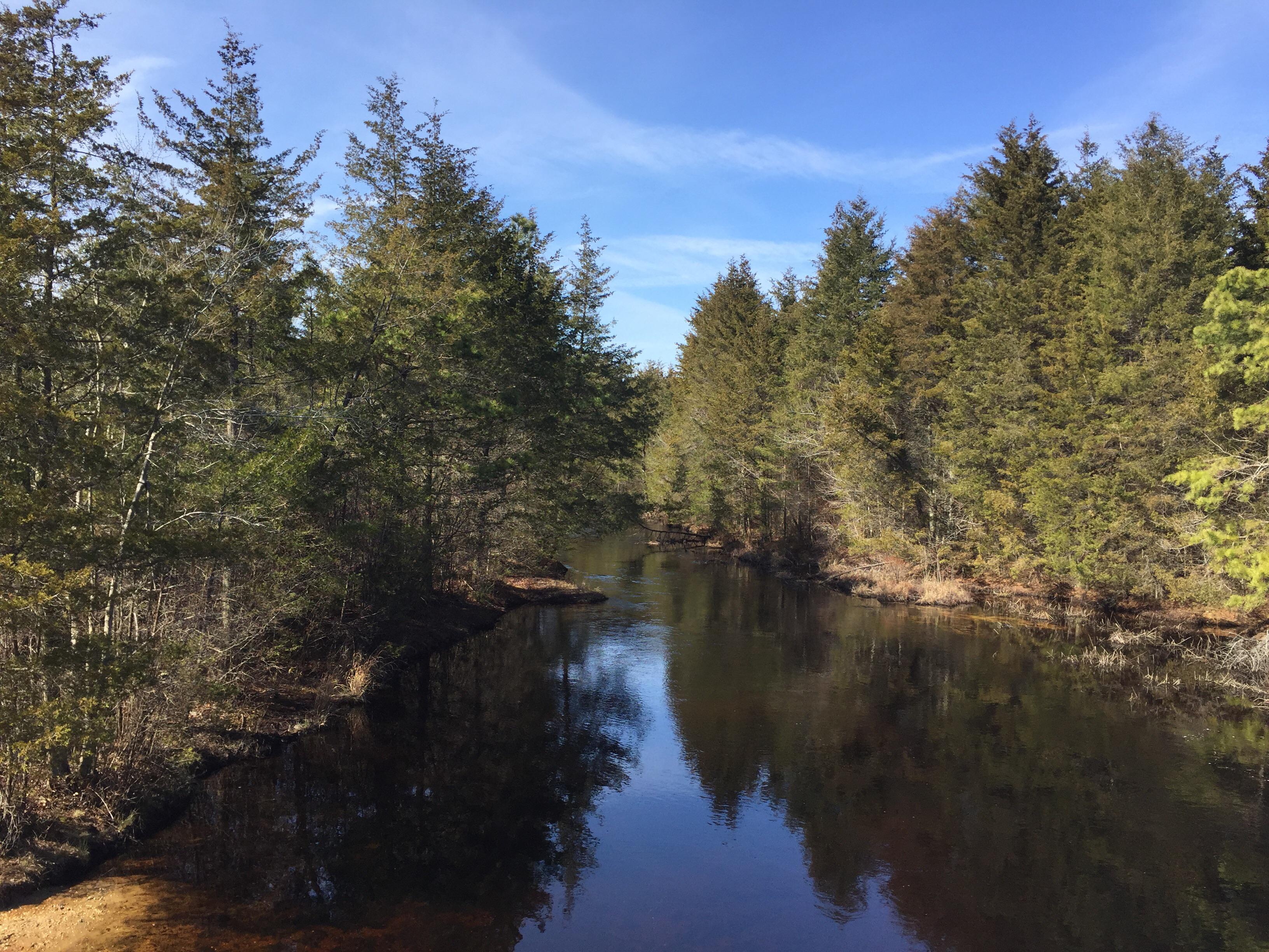 Double Trouble State Park, Ocean County r/newjersey