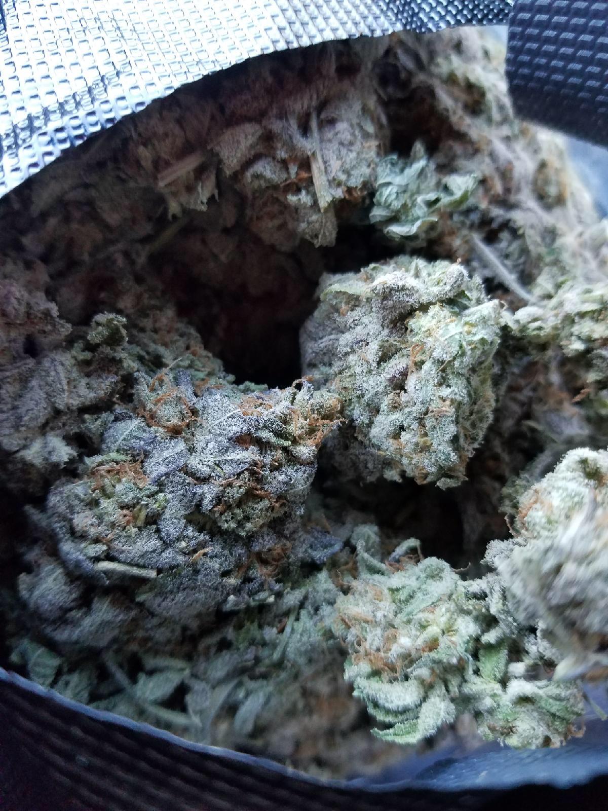 Frosted Blueberry, some of the best tree I've had👌🏻 trees