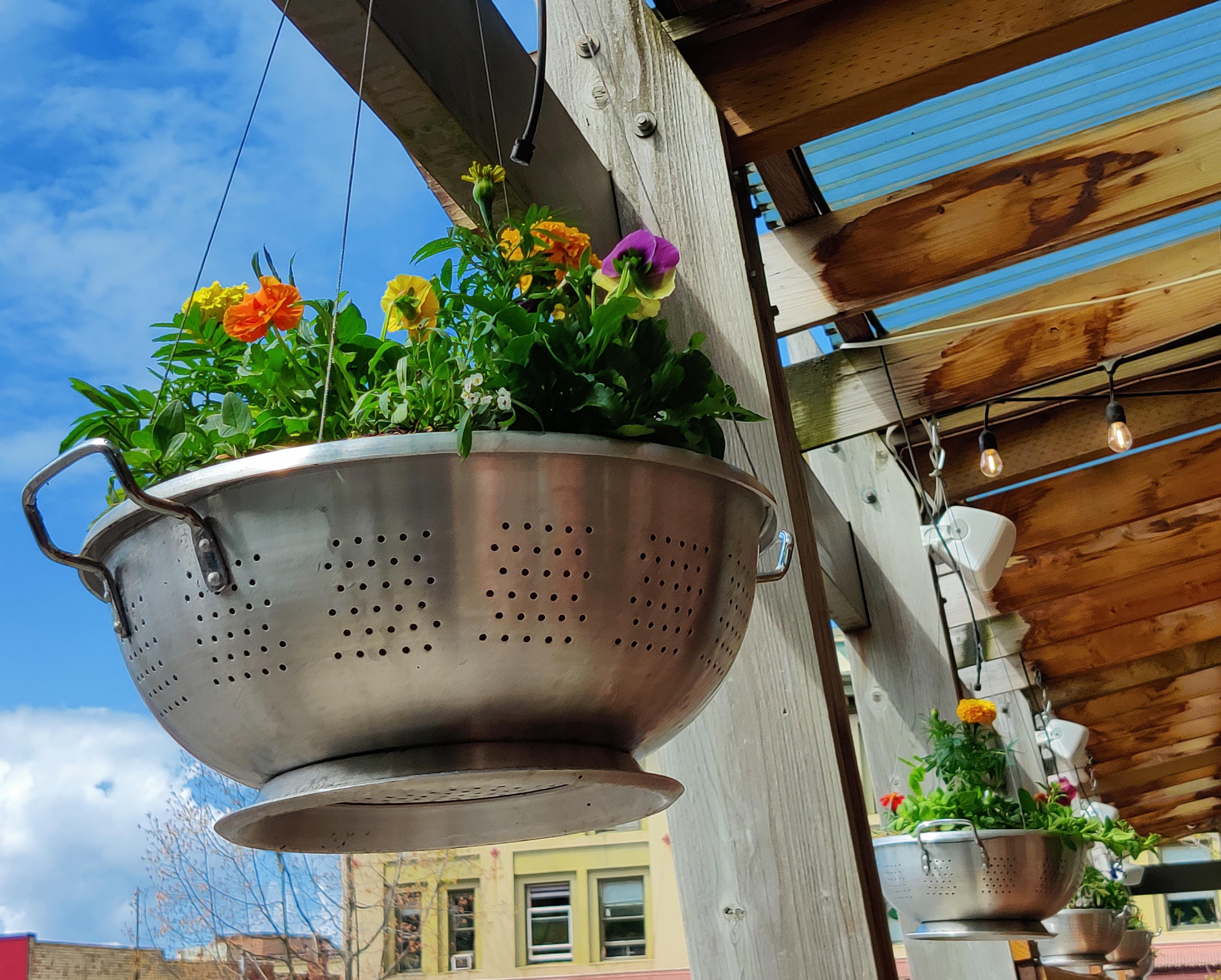 Colanders as hanging baskets has proven successful r/Bellingham