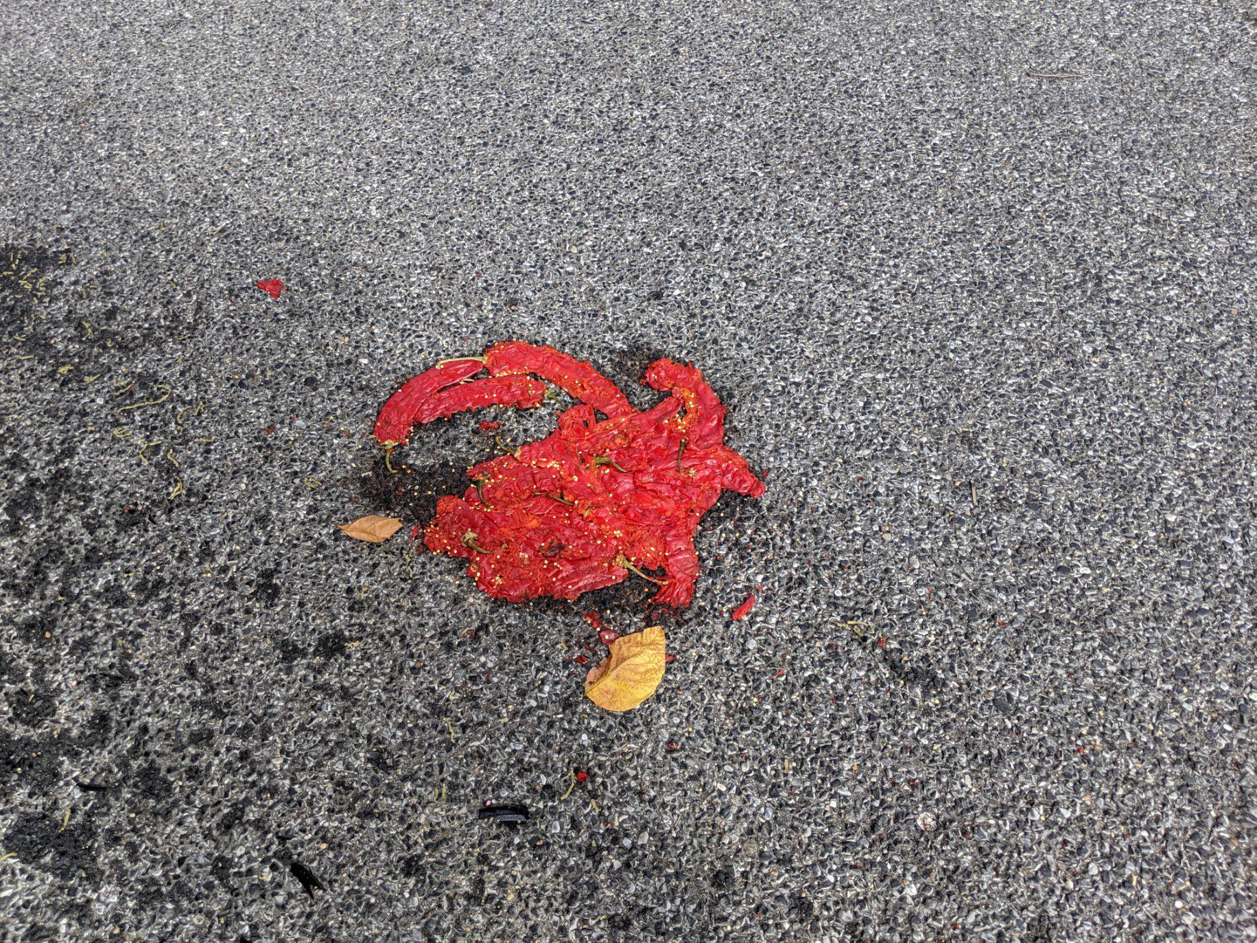 7 days to die in real life r/7daystodie