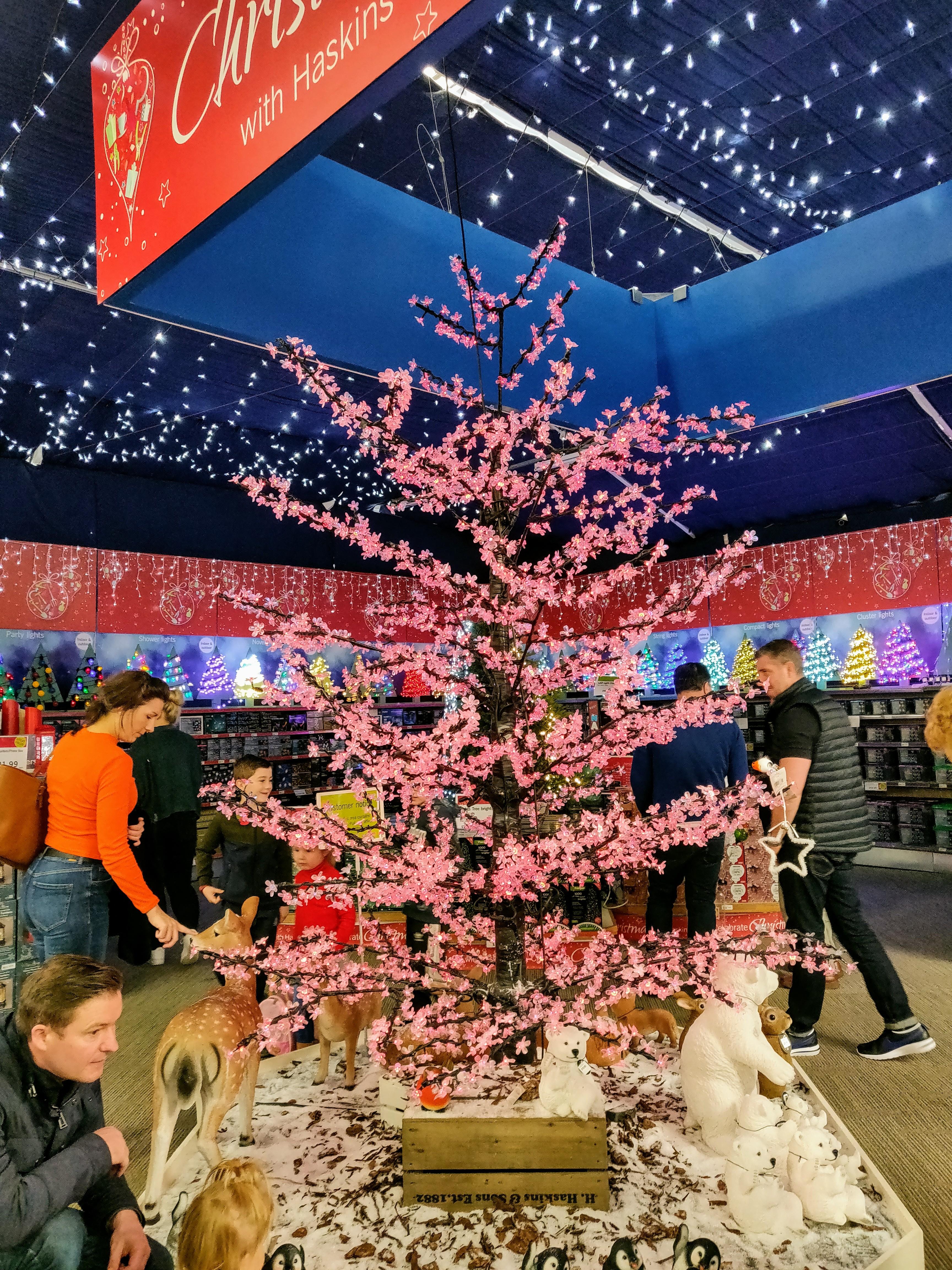 Local garden centre put on a huge display every November and December