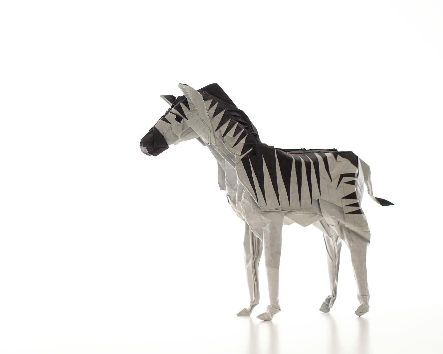 Zebra, designed and folded by me . 94x94 cm tissue/tracing paper r