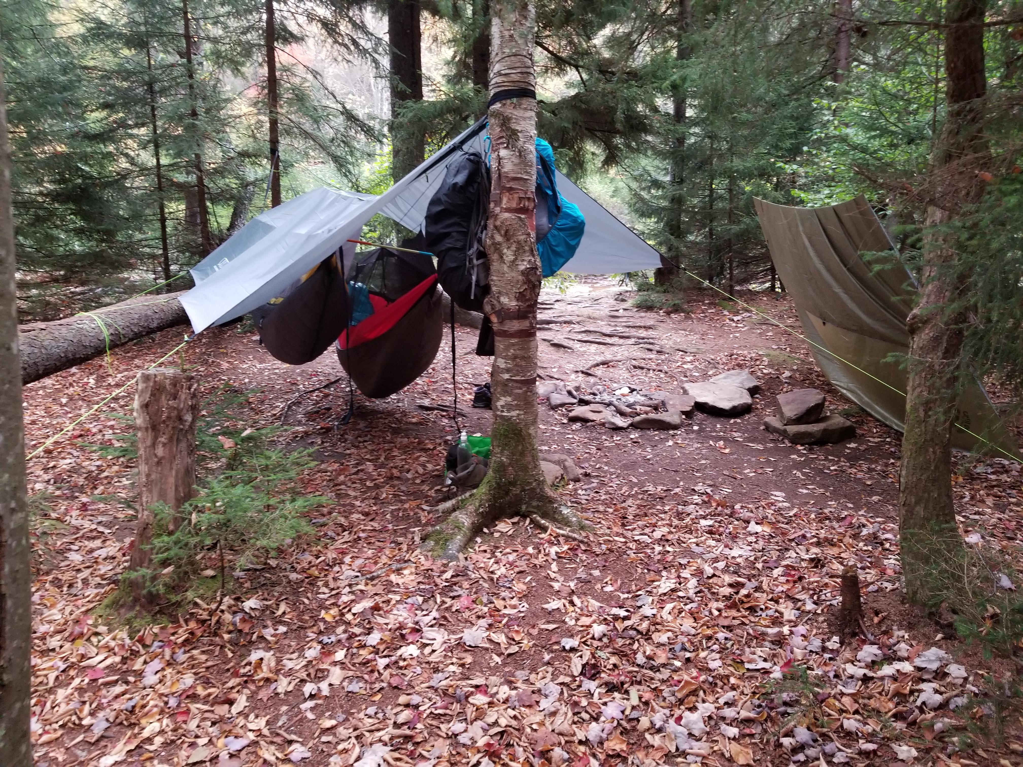 Red Creek in the Dolly Sods, WV. Amazing place... r/hammockcamping