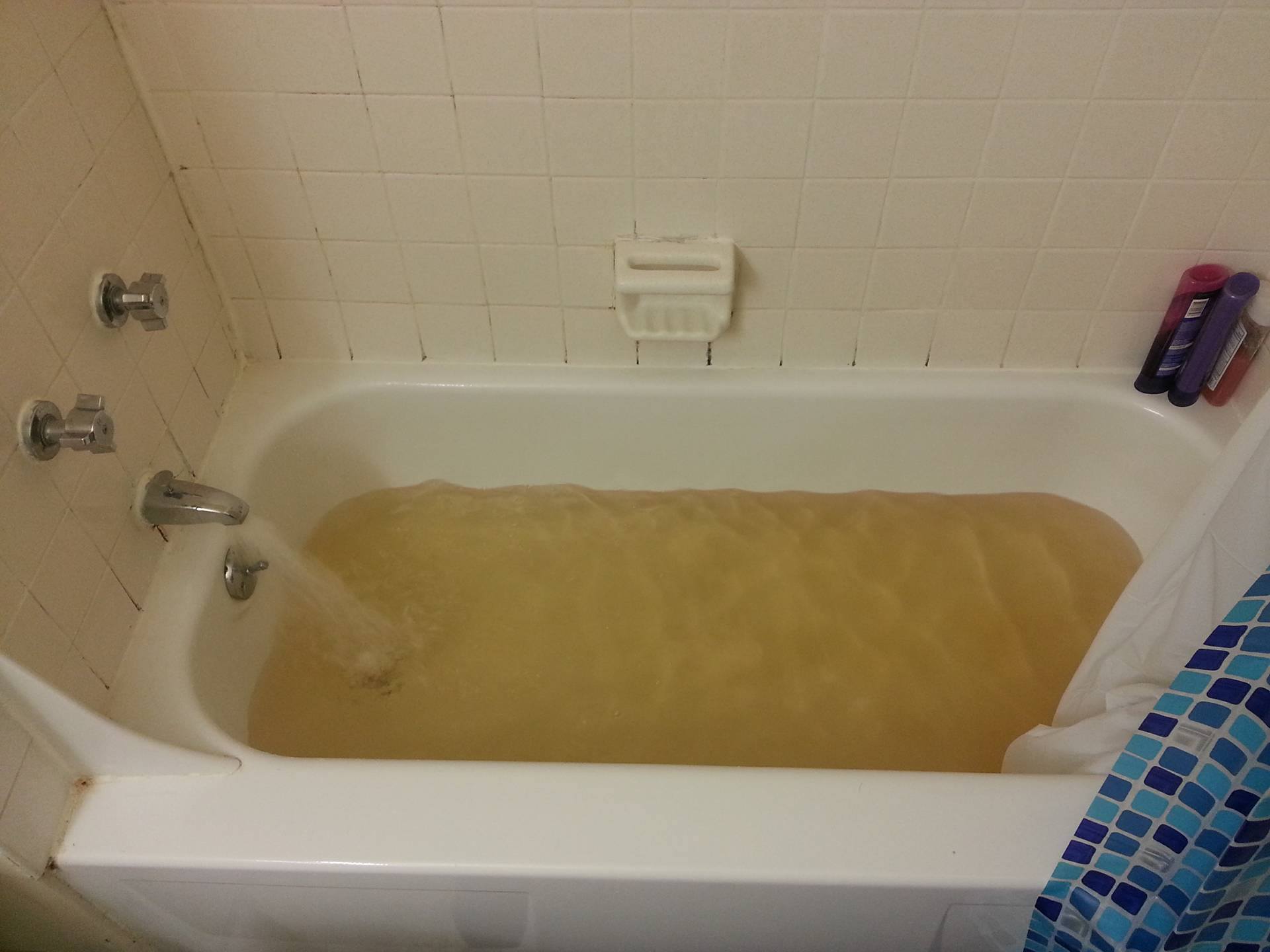 overview for RIT_Housing