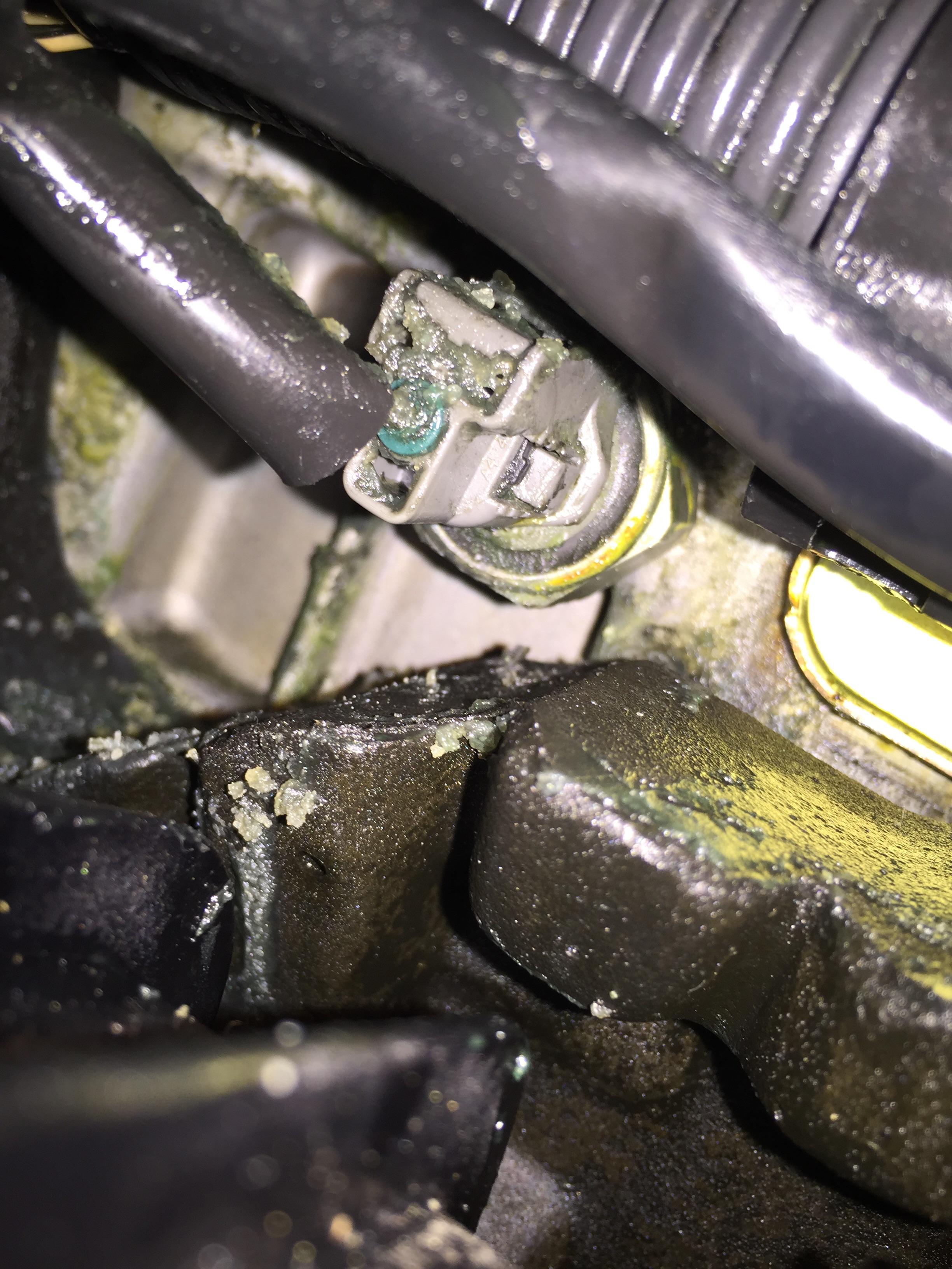 What is this electrical connector 1.5” under the intake to cylinder 2