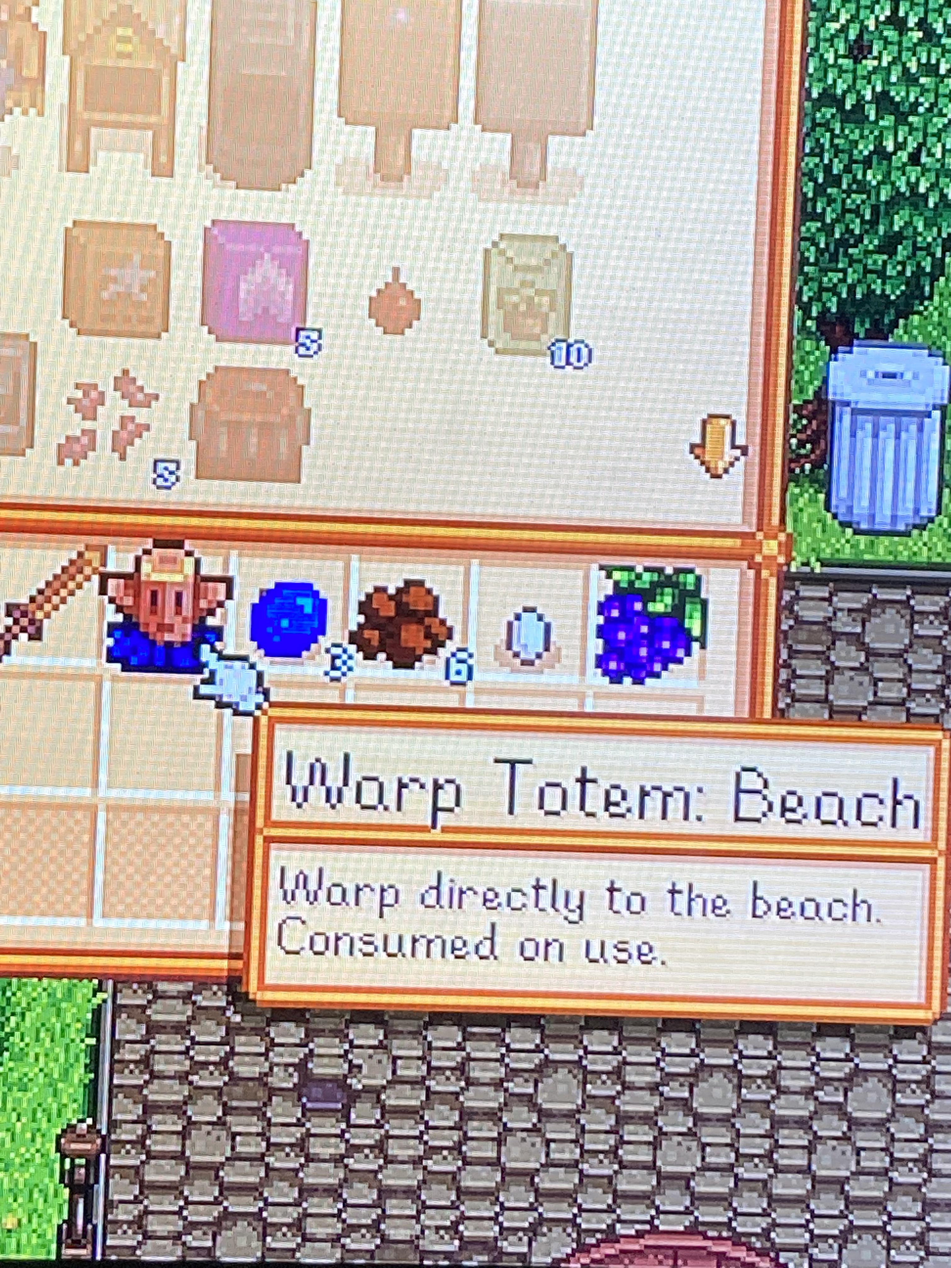 Are these warp totem things just used to warp to a place once? r