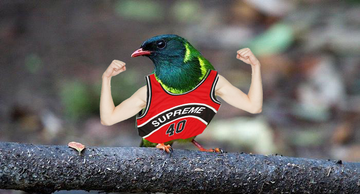 Irish Spring Green Green : r/birdswitharms